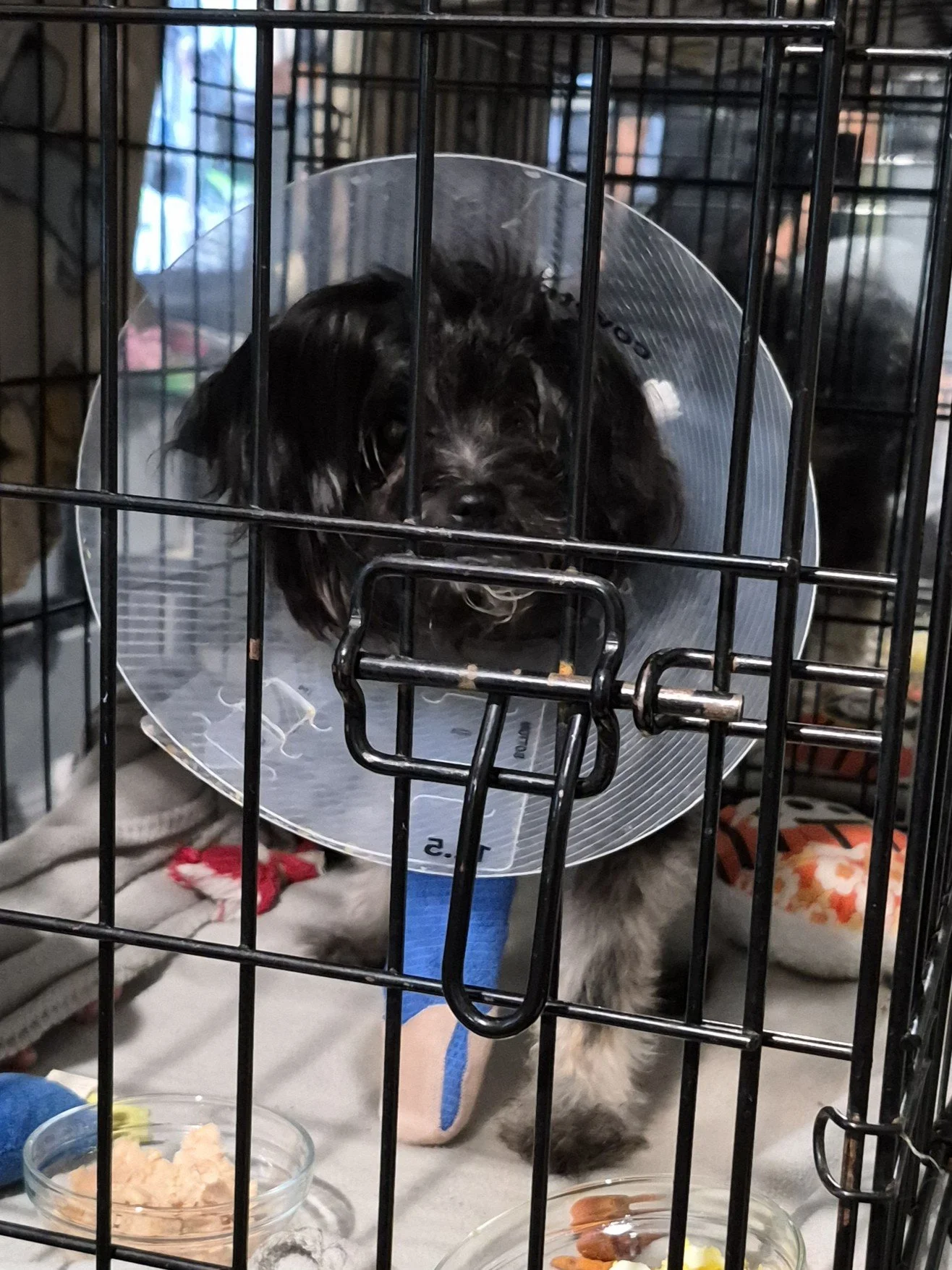 Thank you for helping Minnie.