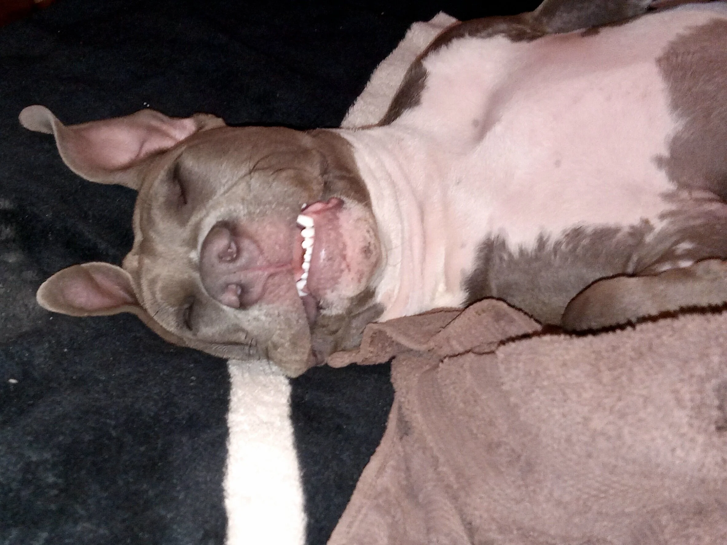 Thank you so very much for giving me back my best friend Athena.