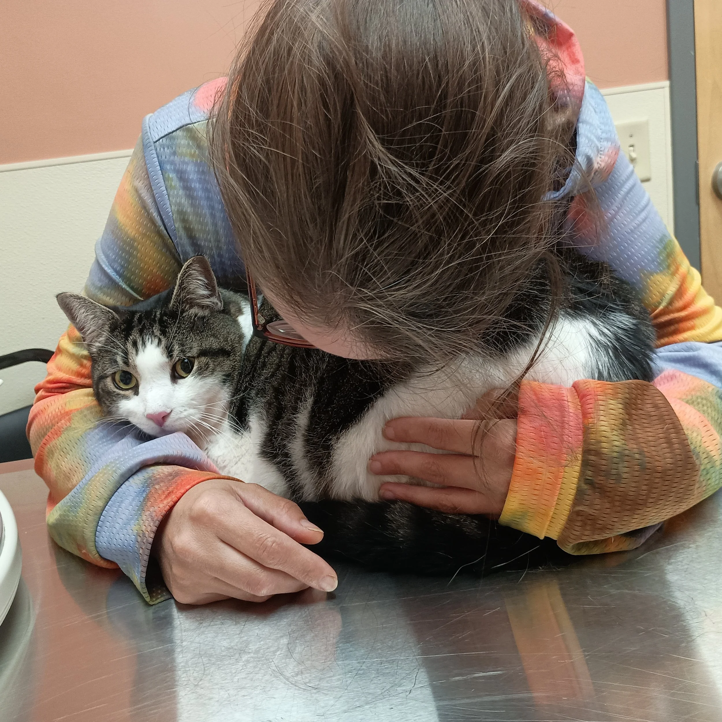 My cat, Mister, brings me so much healing and joy