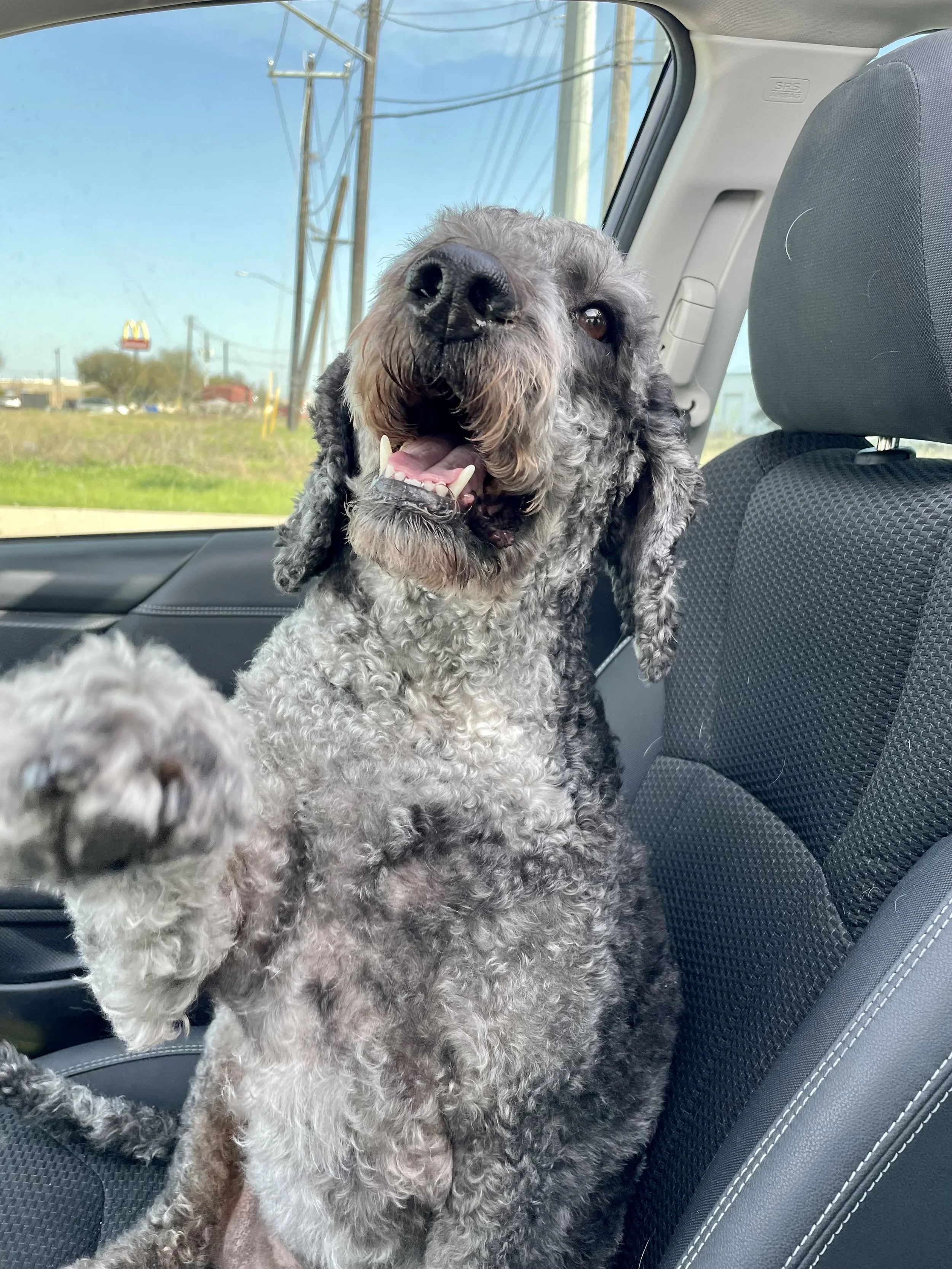 Thank you for helping Patch