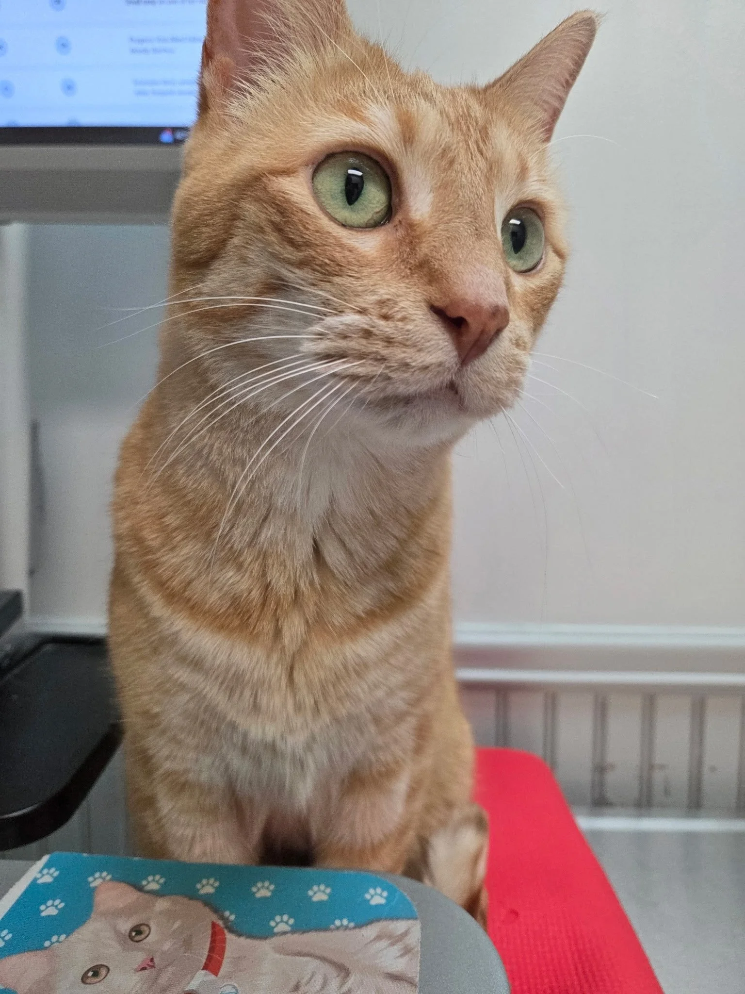 Thank you so much for the assistance with O'Malley.