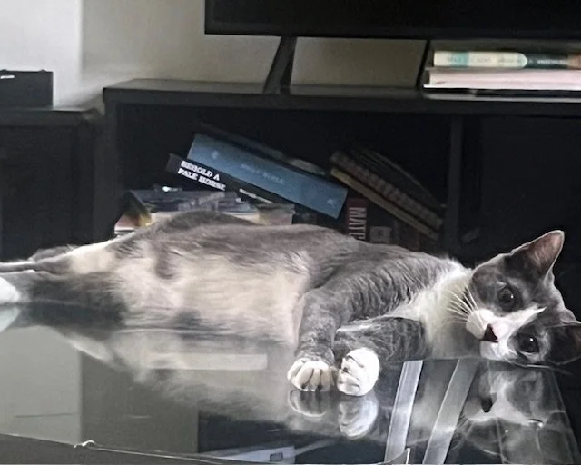 Thank you for helping Knotski