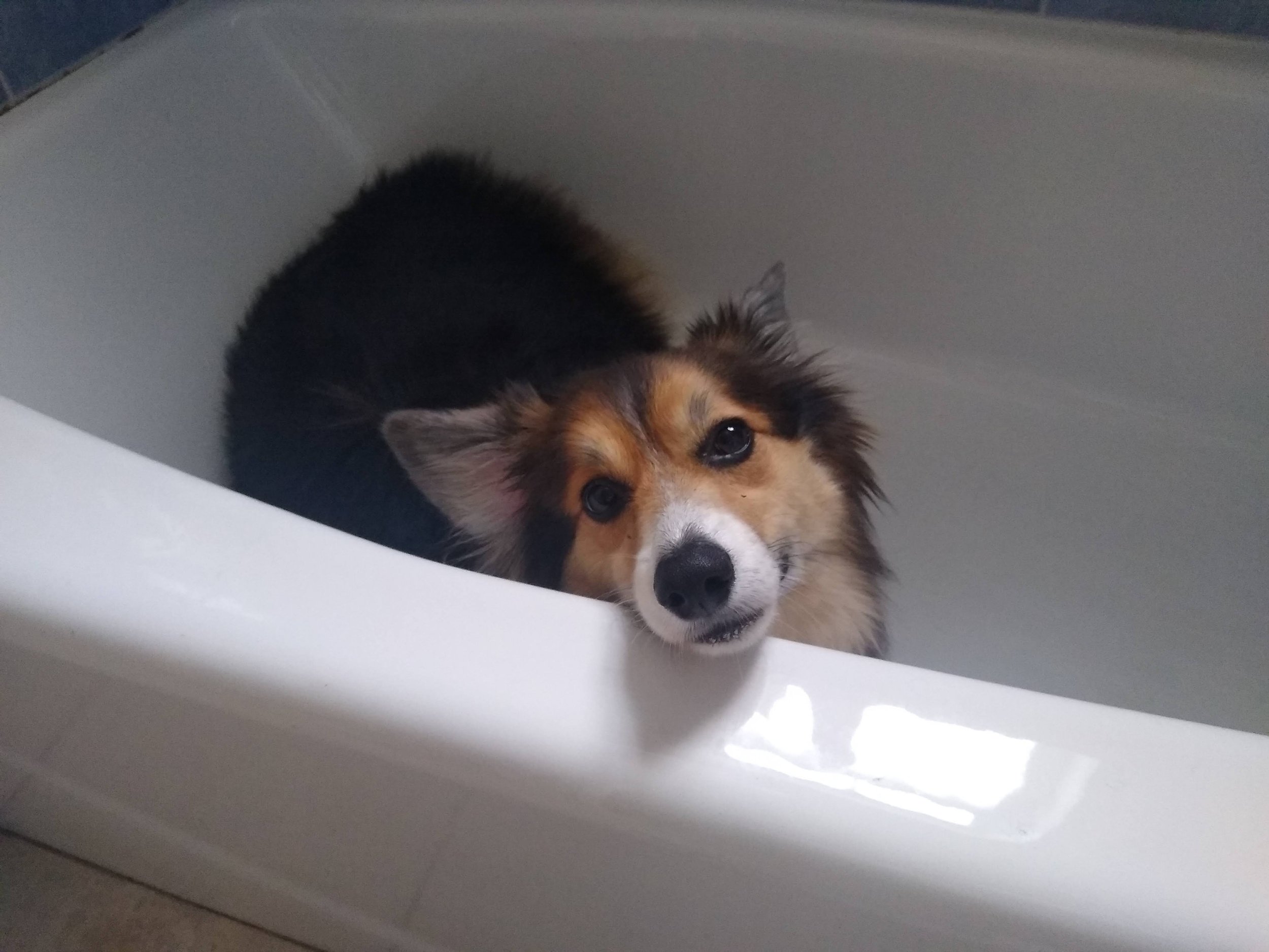 Thank you for helping Osiris.