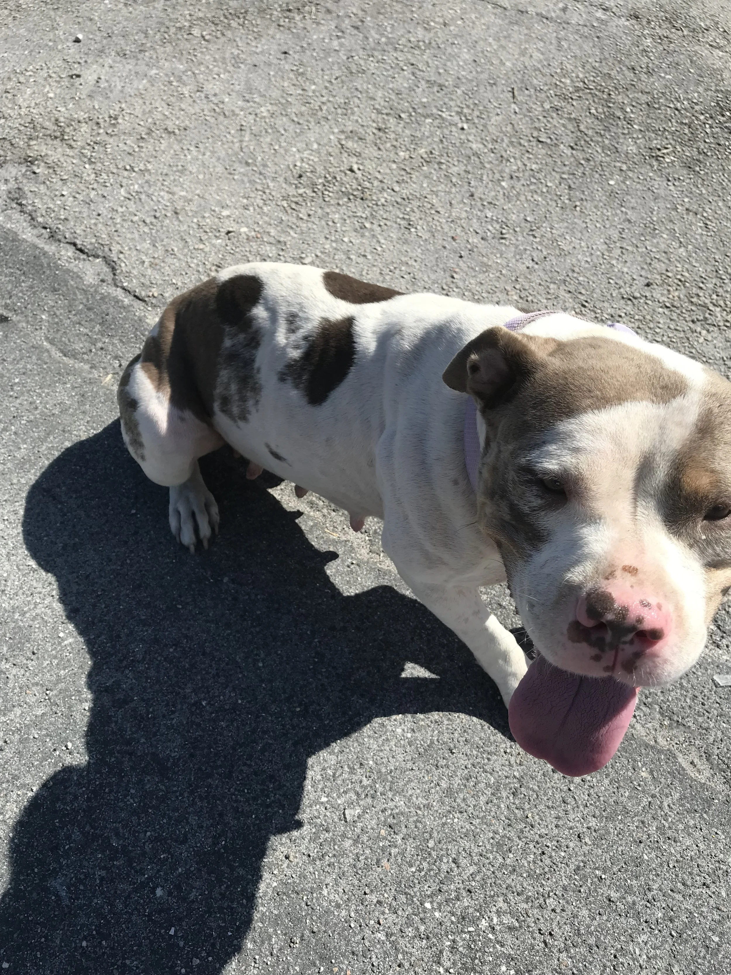 Your kindness and contribution have made a tremendous difference in Mercedes’s life