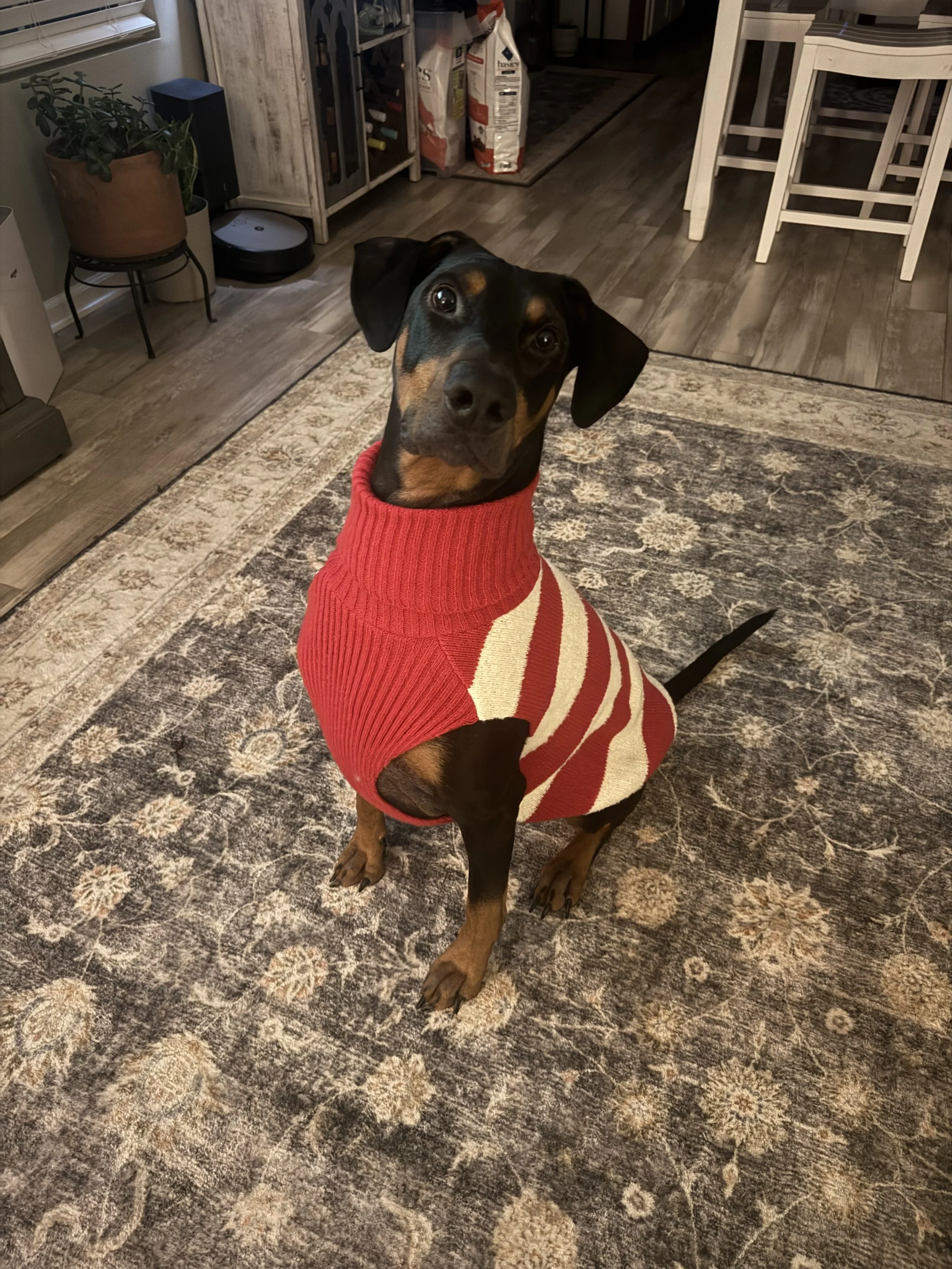 Twin is my best friend.