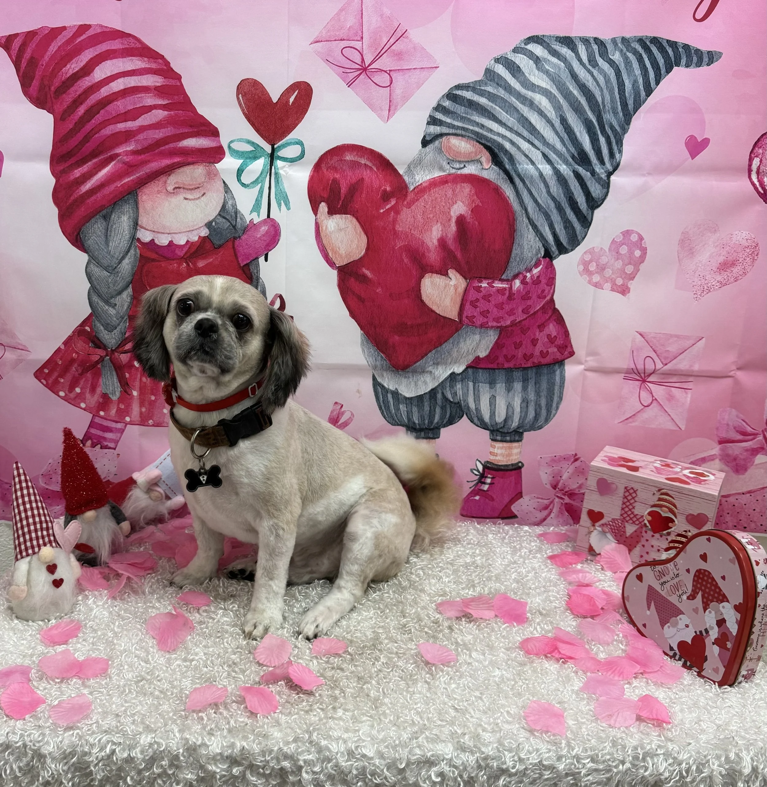 Chakrii is my family.