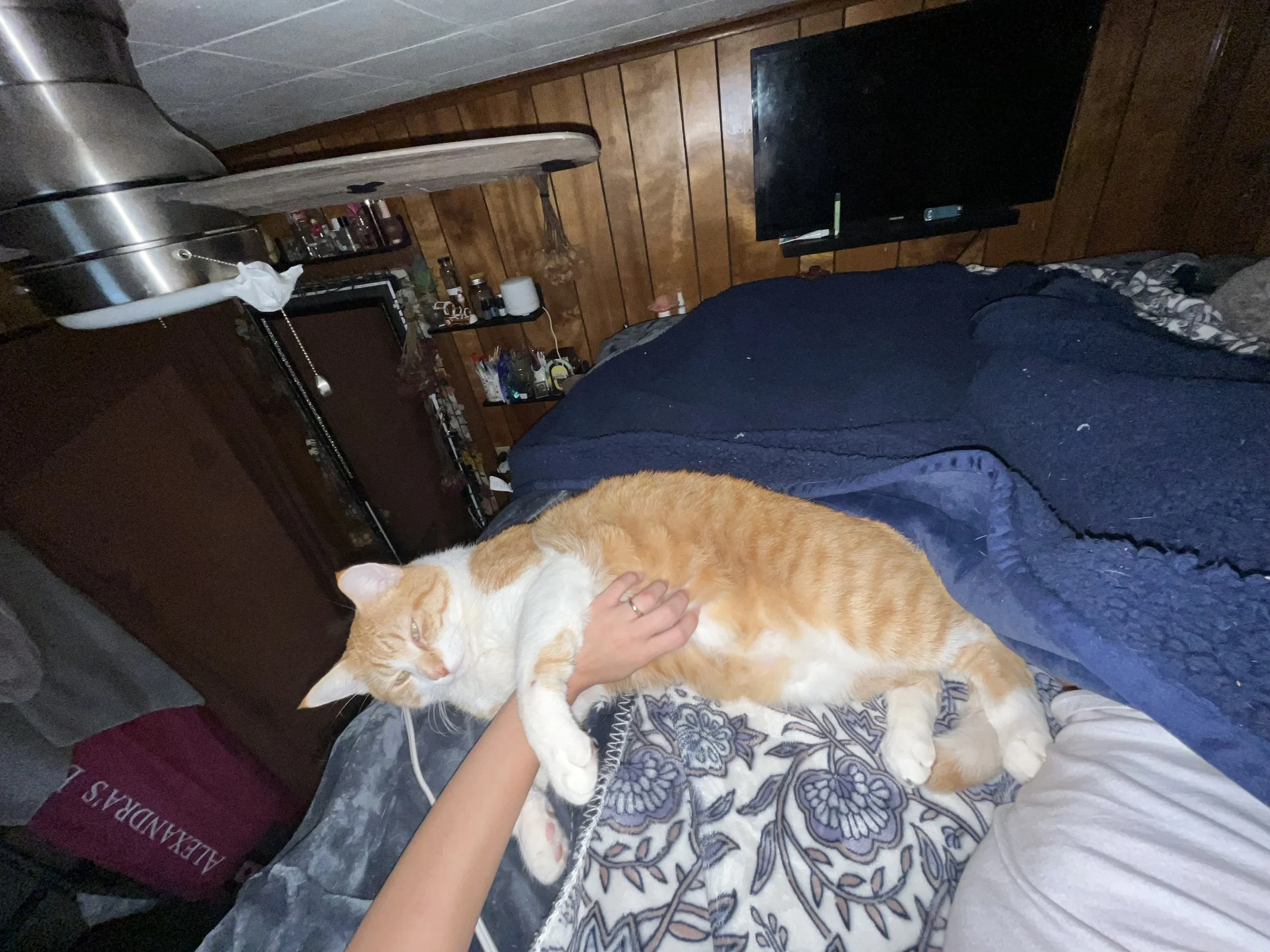 Thank you for saving Mufasa.