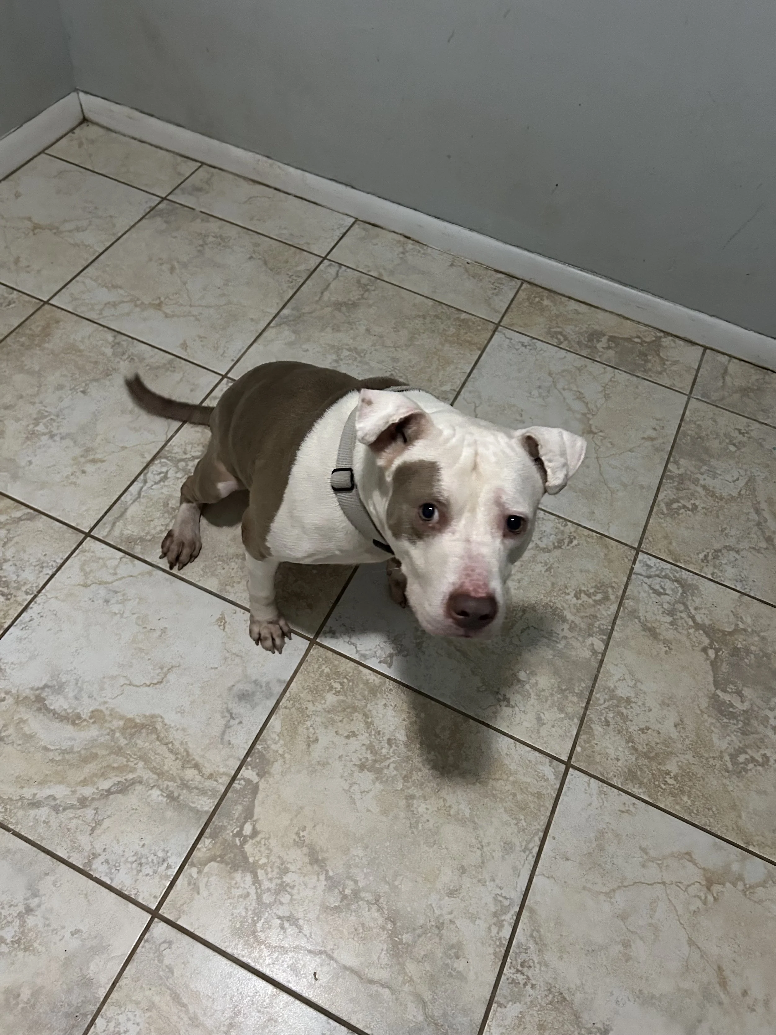 Thank you for helping keep Oliver with his family.