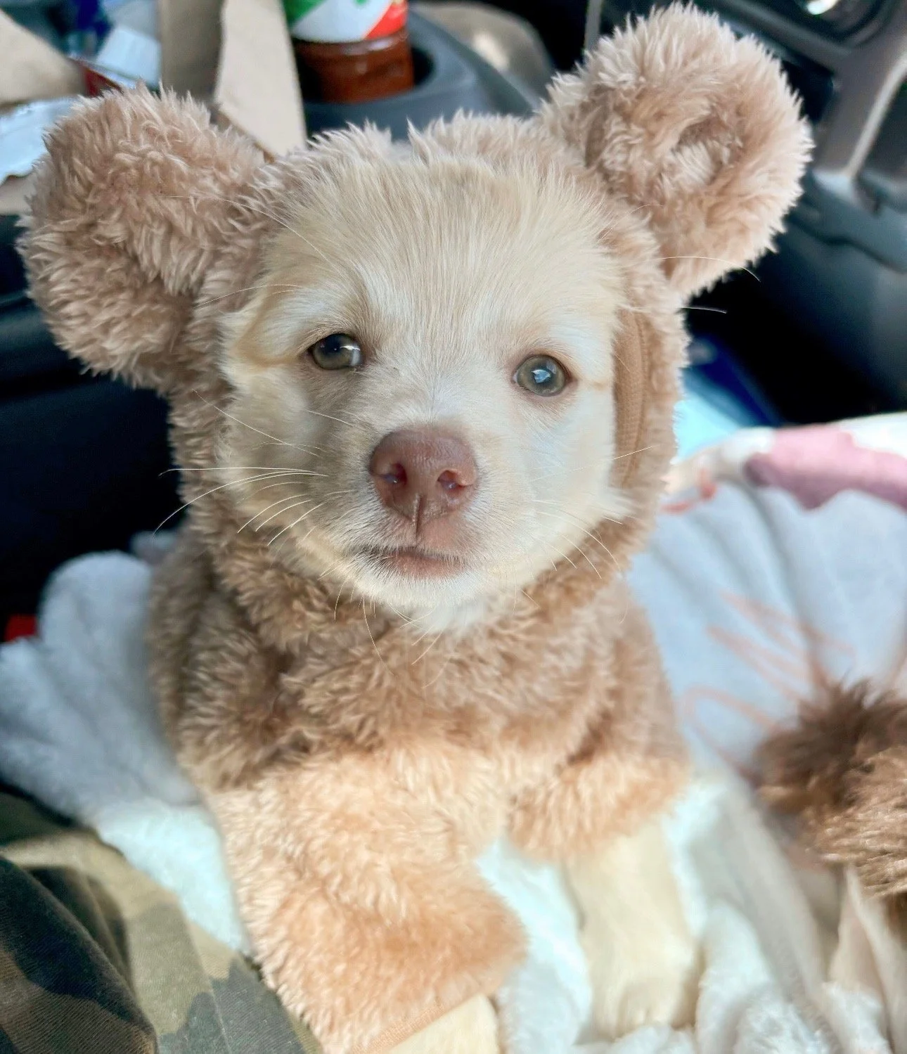 You can see in our pictures that Sky is an important part of my life.