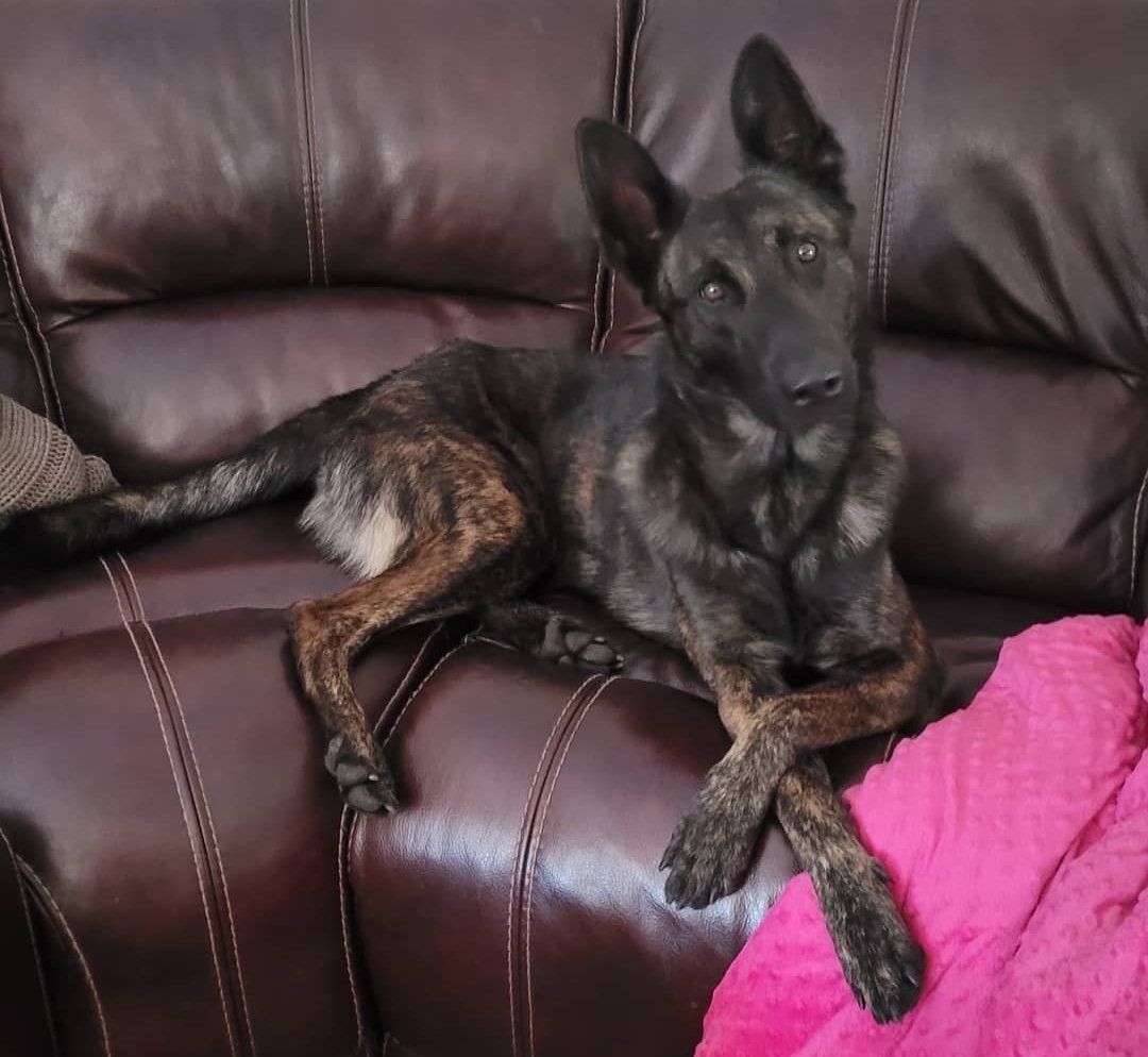 Thank you for helping Red!