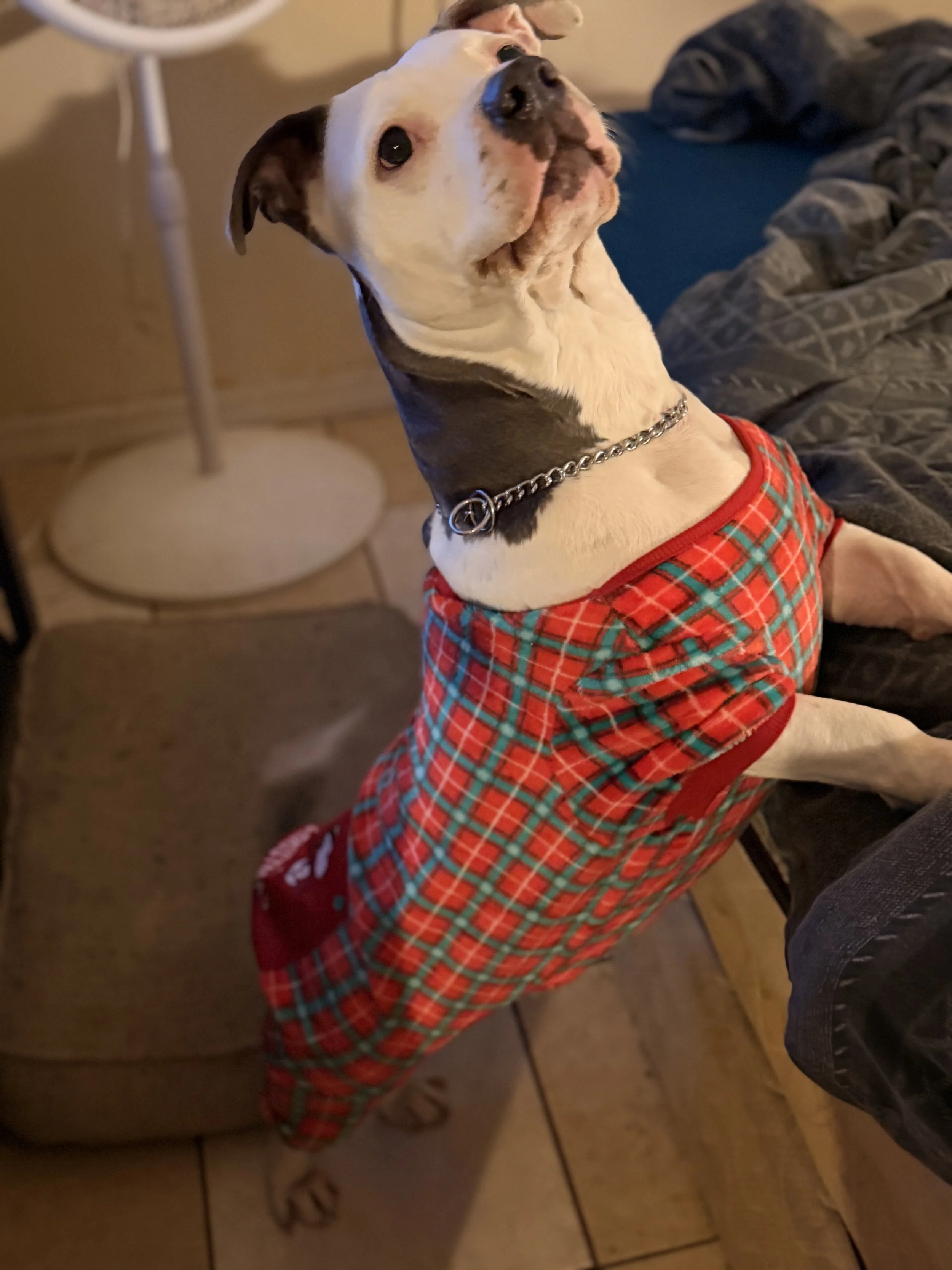 Princess means the world to me.