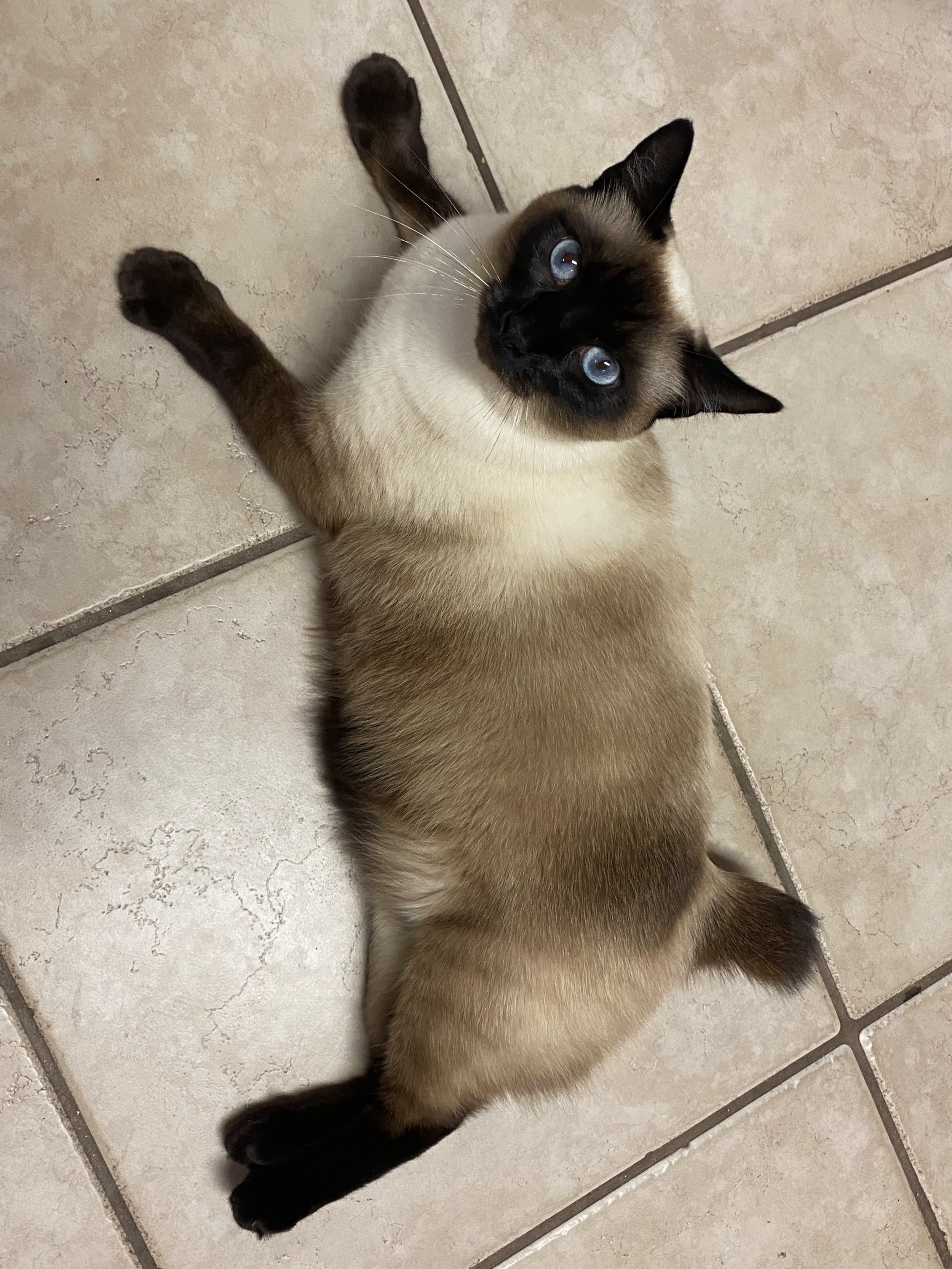 Thank you for helping Petra!