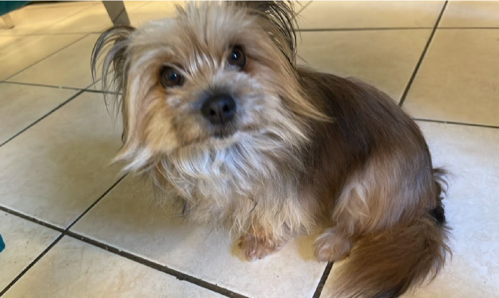 Les doy muchas gracias por su gran ayuda con Chloe.