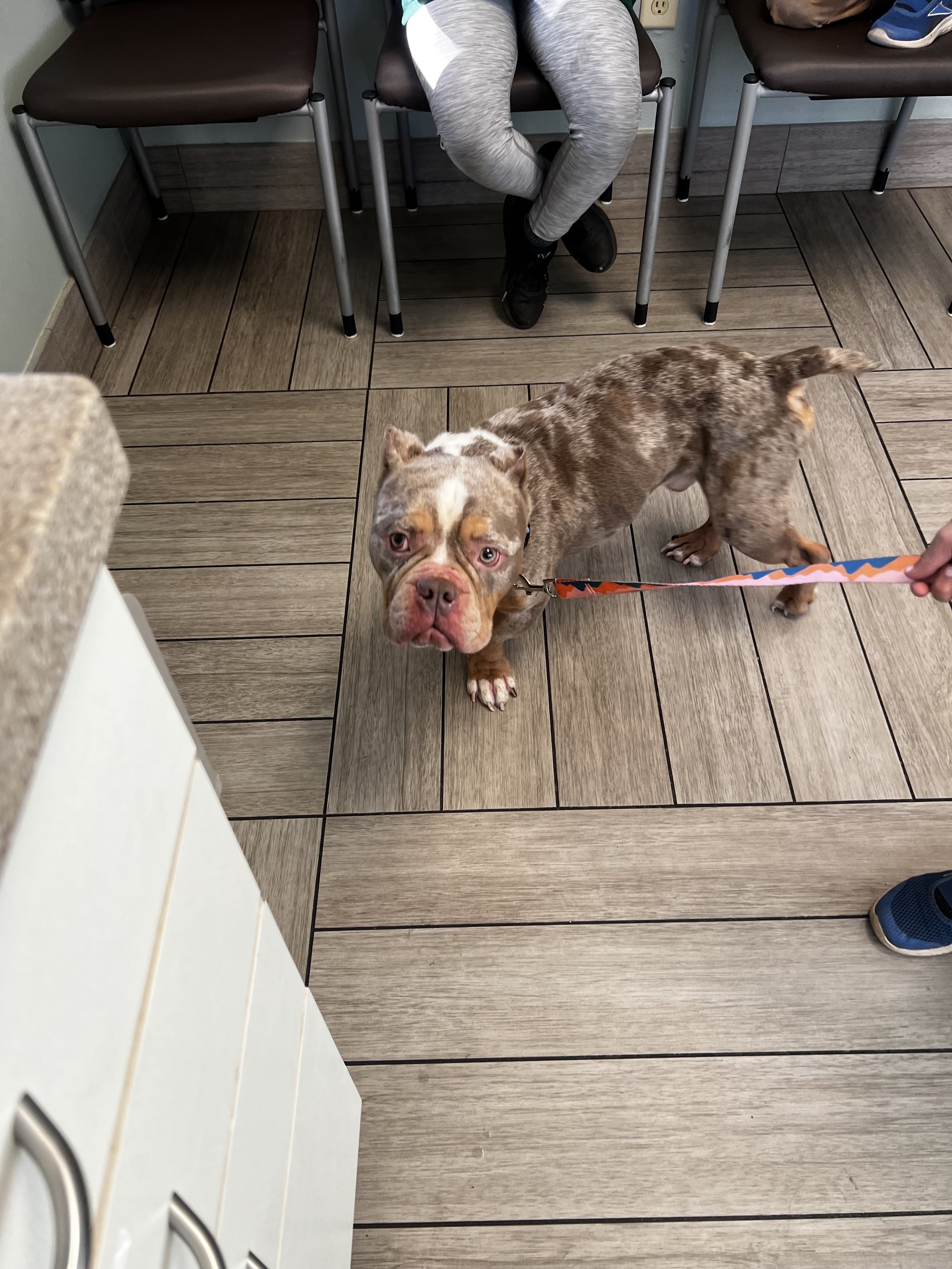 Your generosity is making a direct difference for Rolo