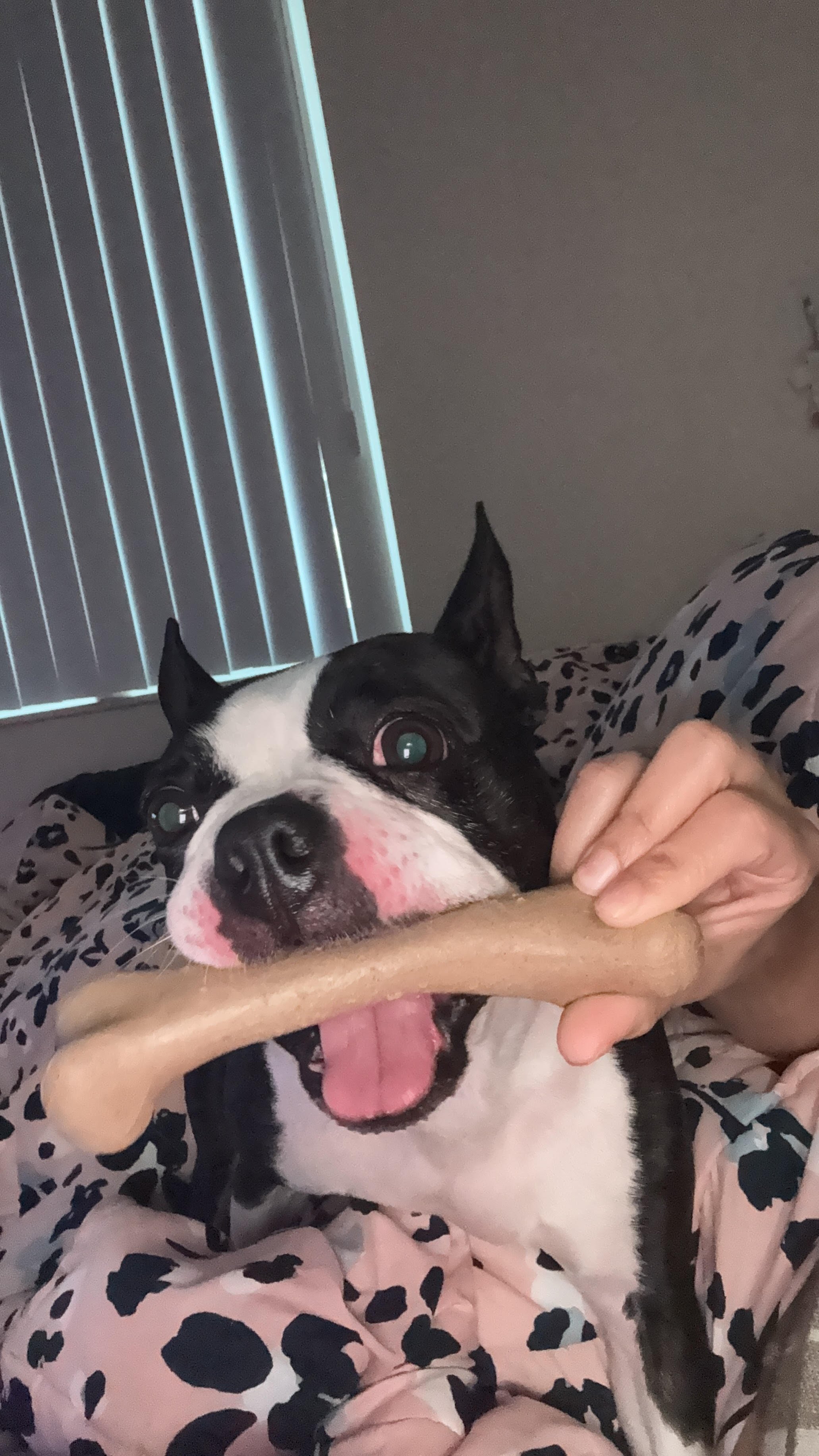 It means everything to me to get help for Annabelle.