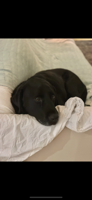 IN LOVING MEMORY OF PHIL