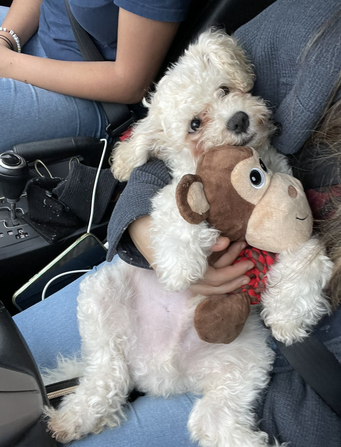 Thank you from my baby boy Milo.