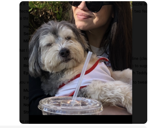 Teddy is not just my dog — he is my constant companion