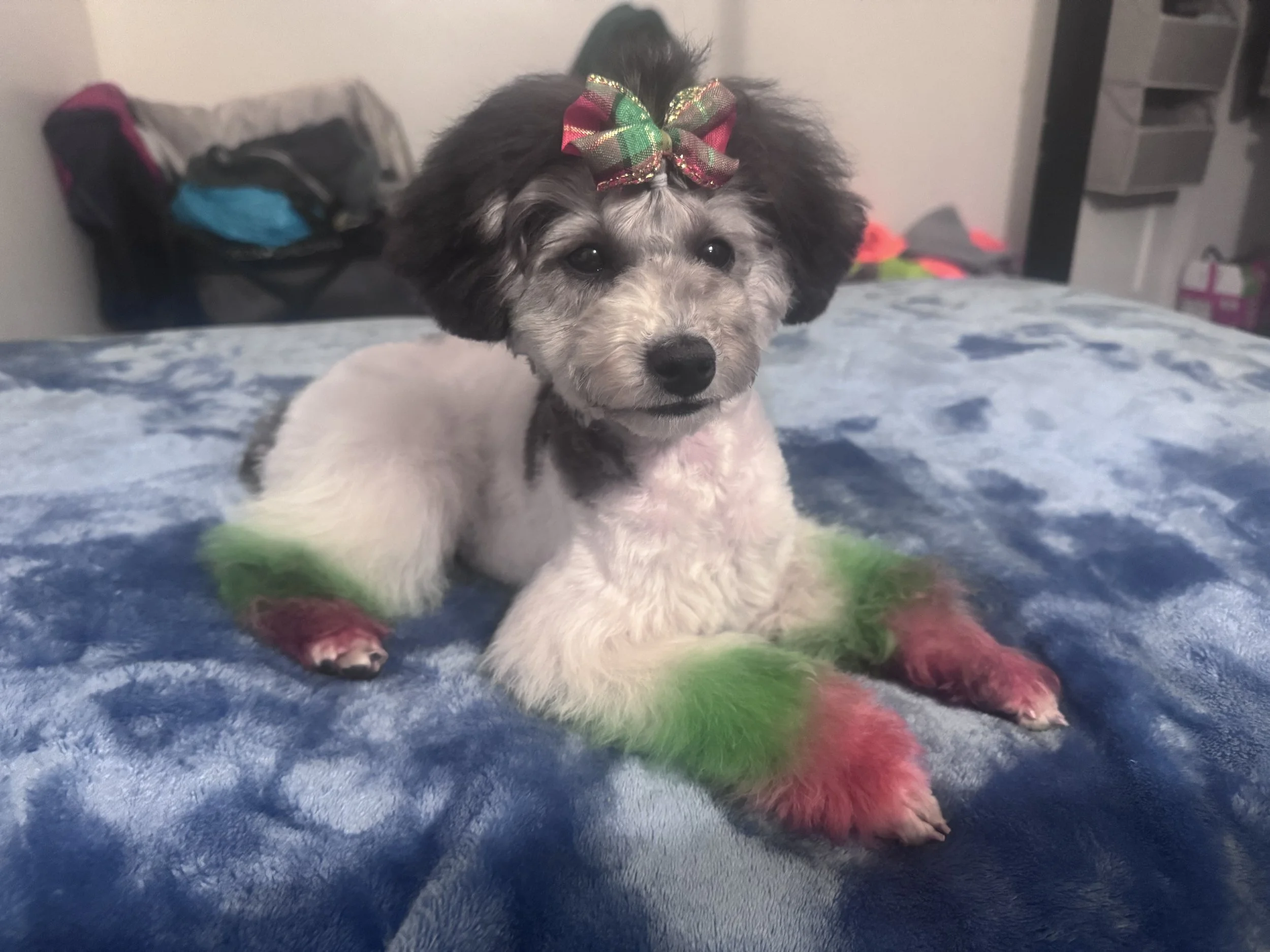 This support allows us to focus on Willow’s healing instead of the fear of how to afford her care.