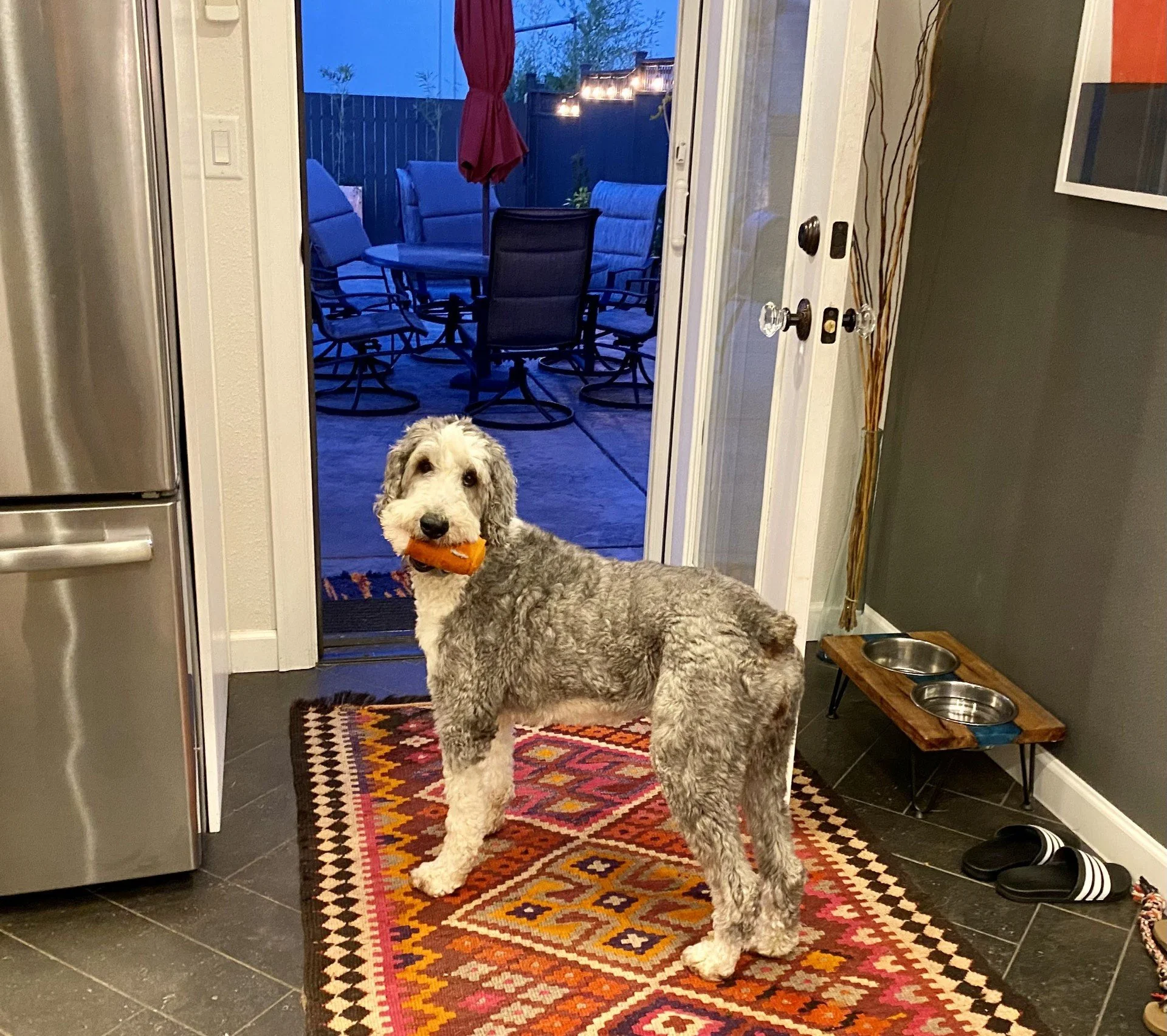 In Loving Memory of Marley