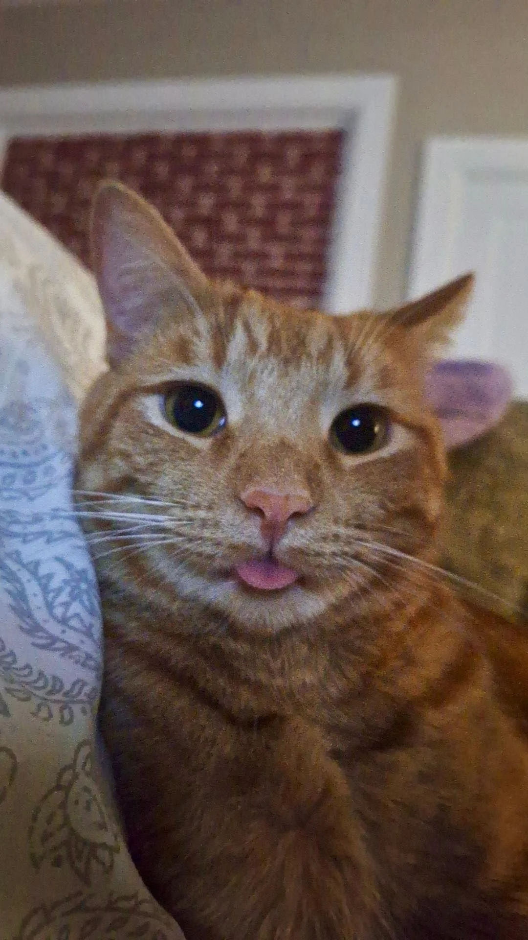 Thank you for helping Sunny