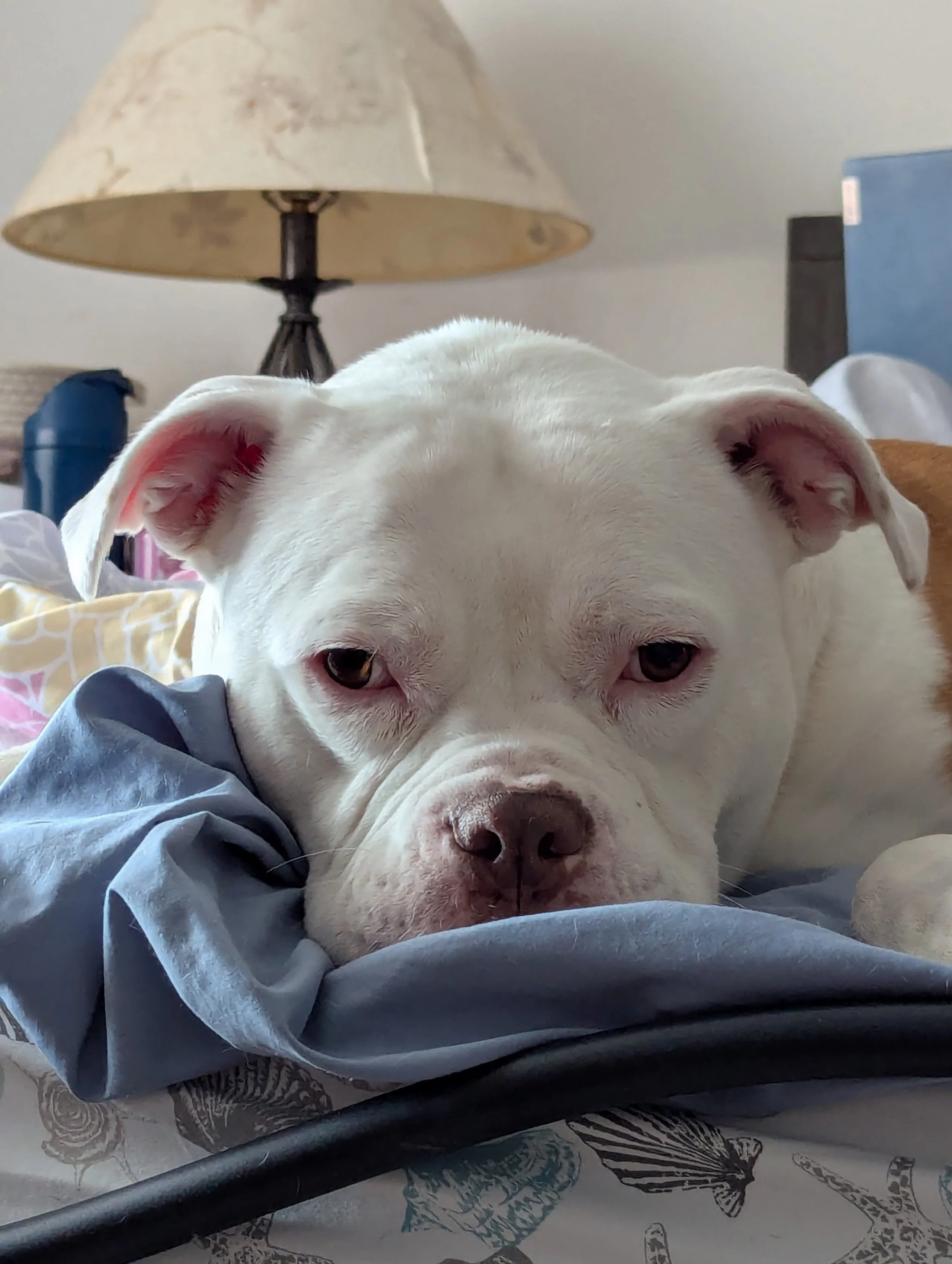 Carly has come so far