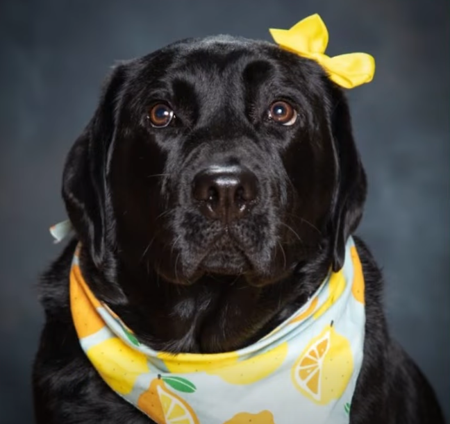 Gypsy means the world to her school family.