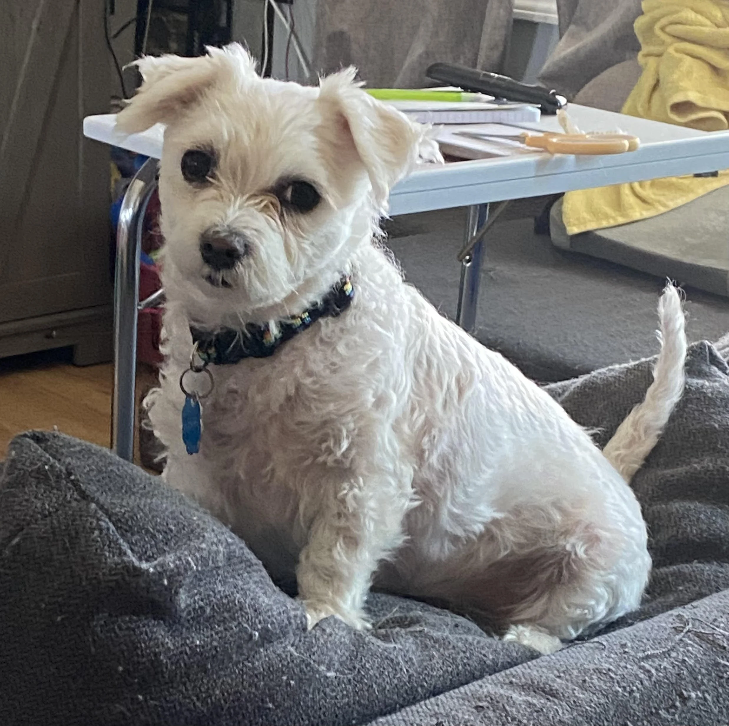 Lucy and I want to say thank you.