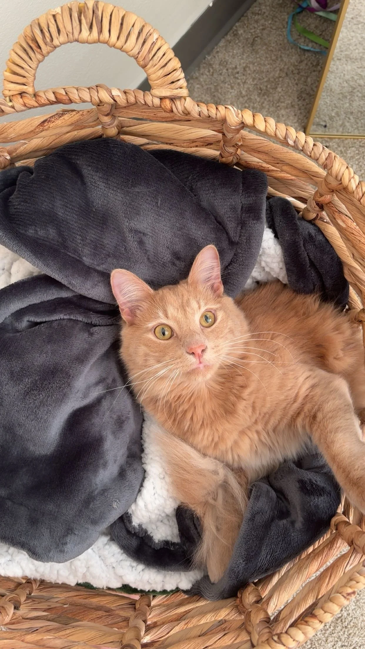 I love Cider as a member of my family and he is like a child to me