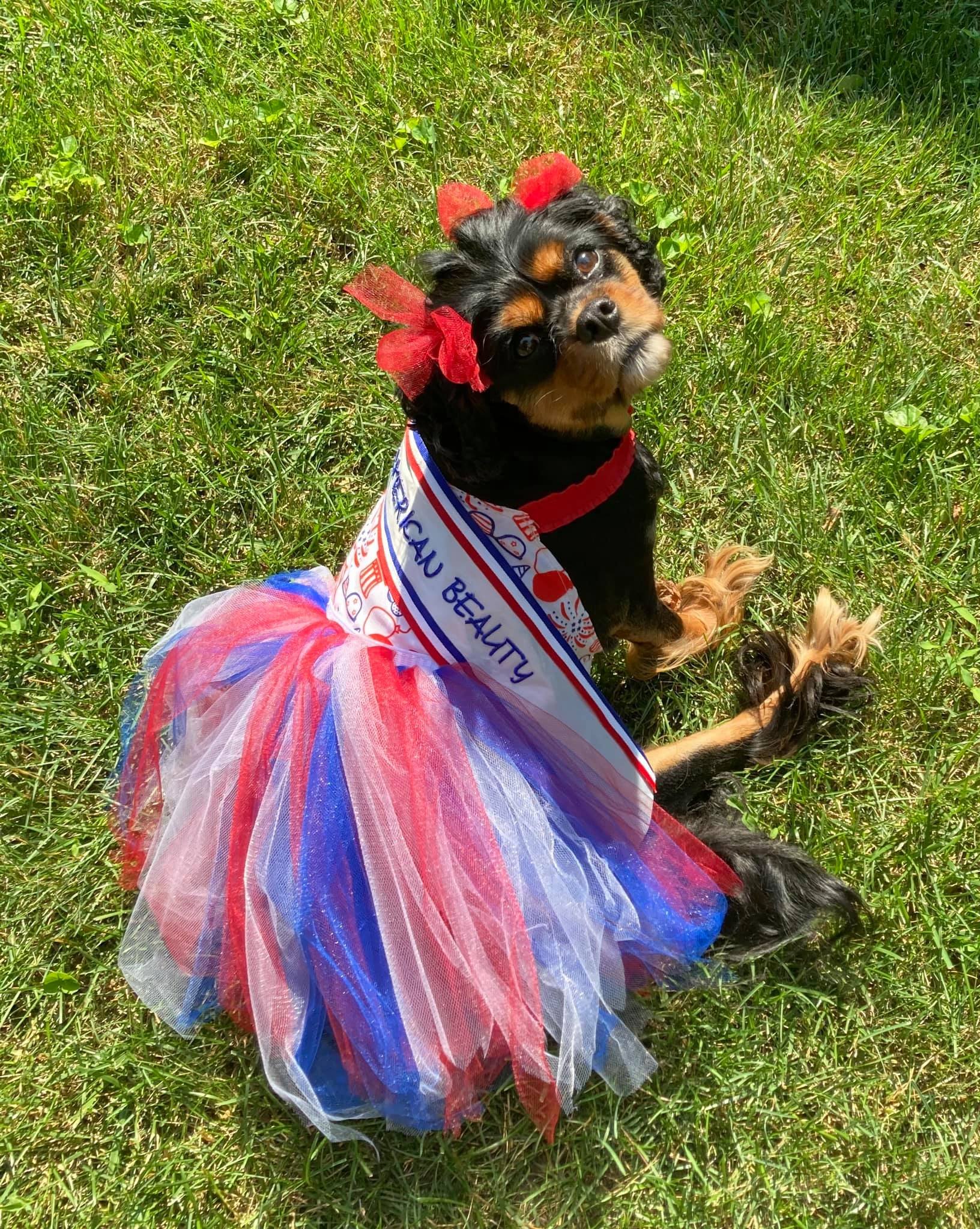 Velvet is my heart and my everything.