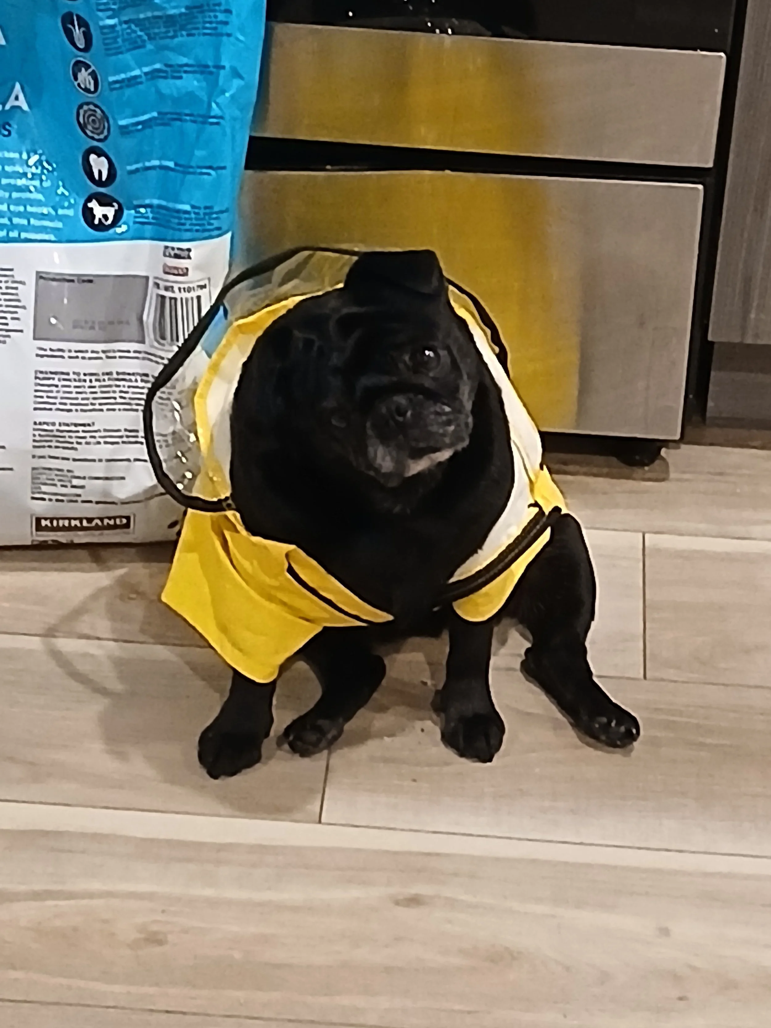 Every day I spend with Lucy I feel blessed.