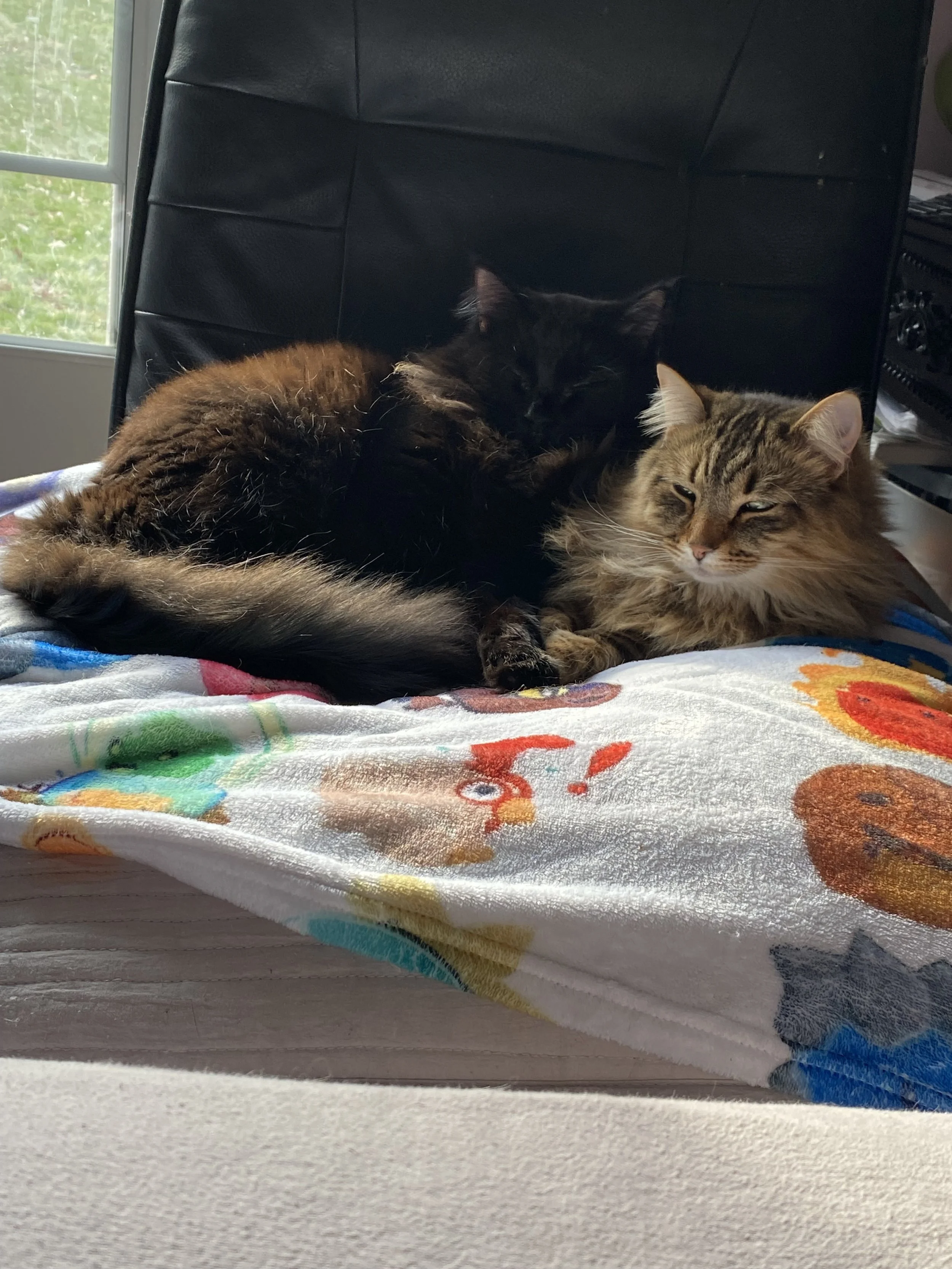 Thank you for helping Anubis