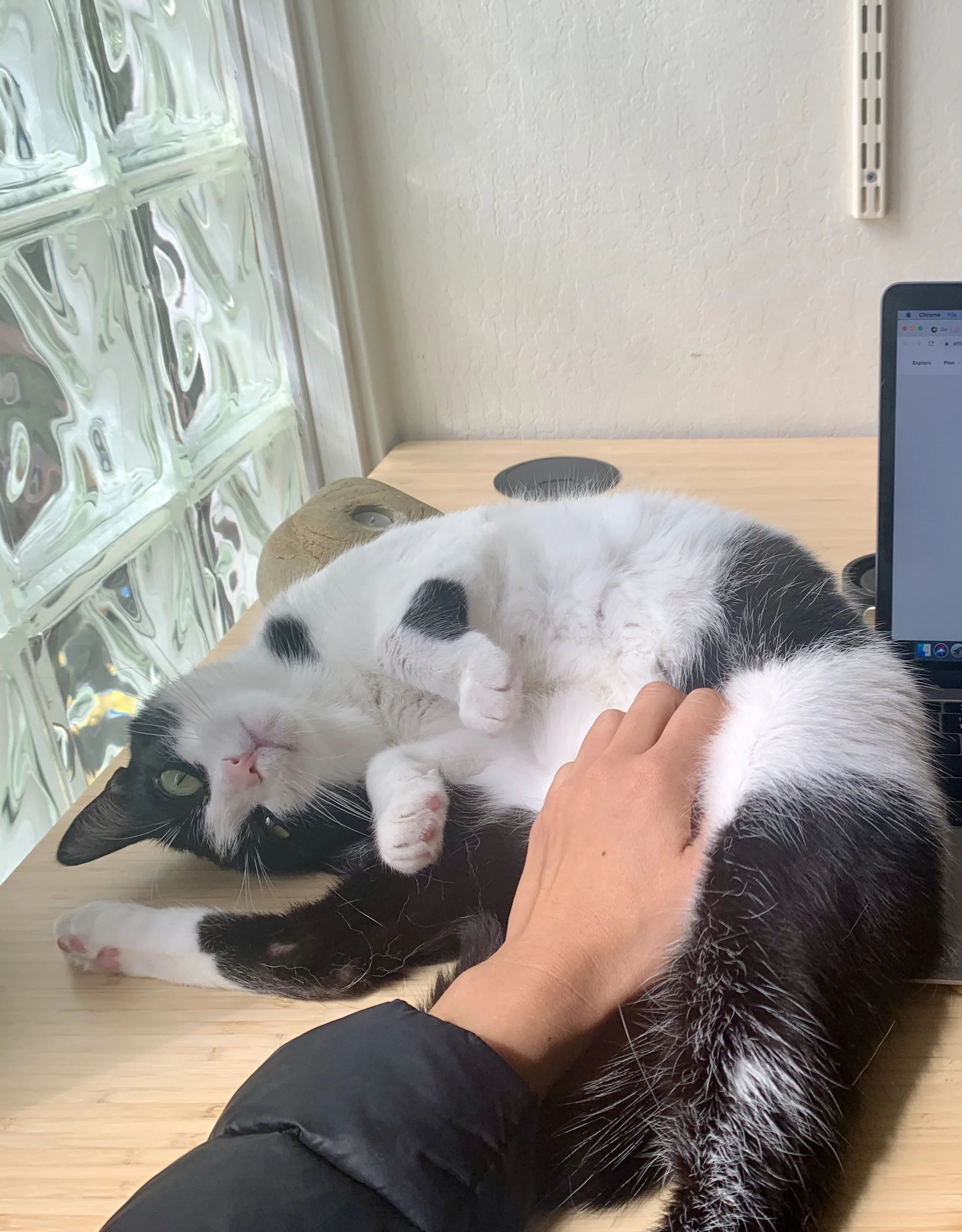 Your generosity means that Acai has a fighting chance.