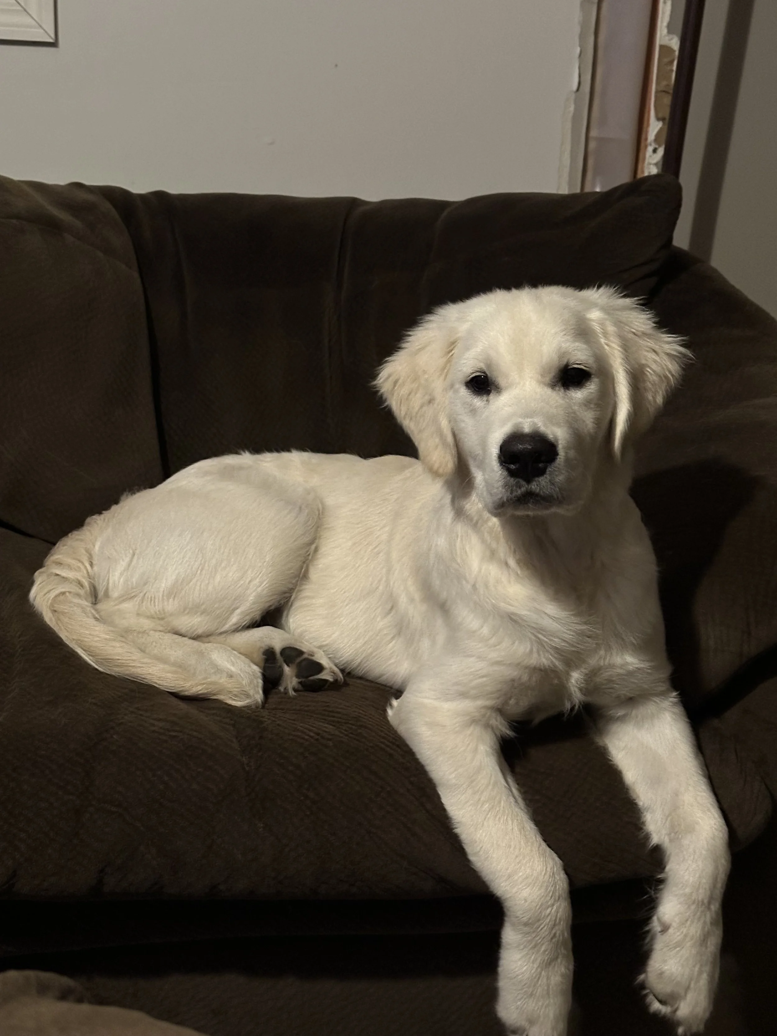 Thank you so much for saving Zeke.