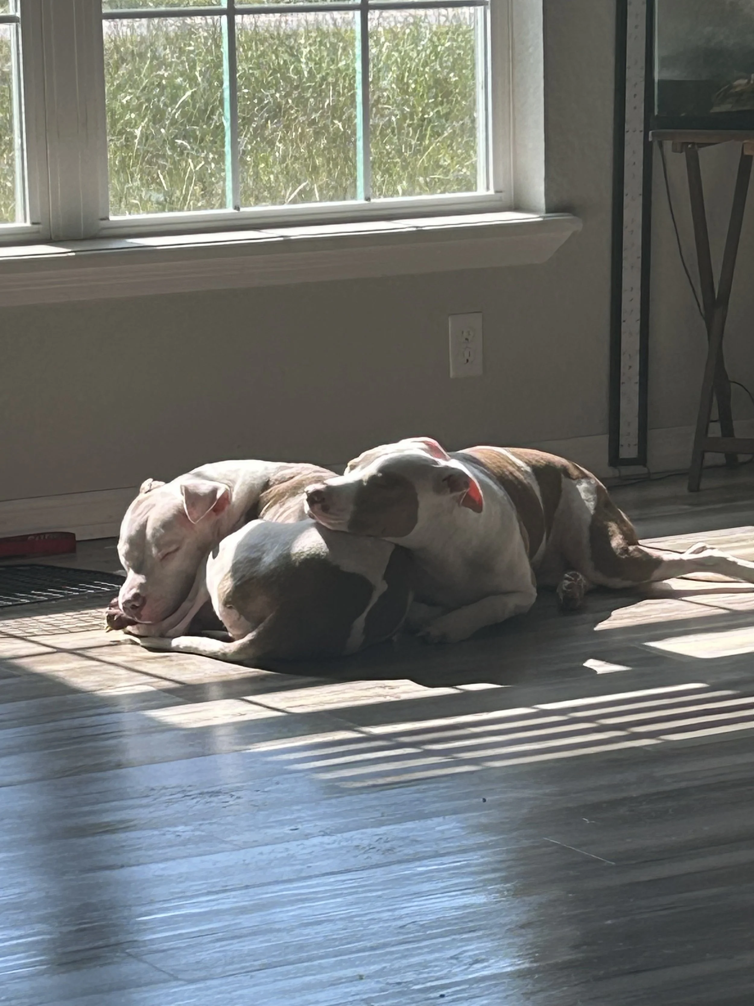 I want to sincerely thank you from the bottom of my heart for helping Canelo