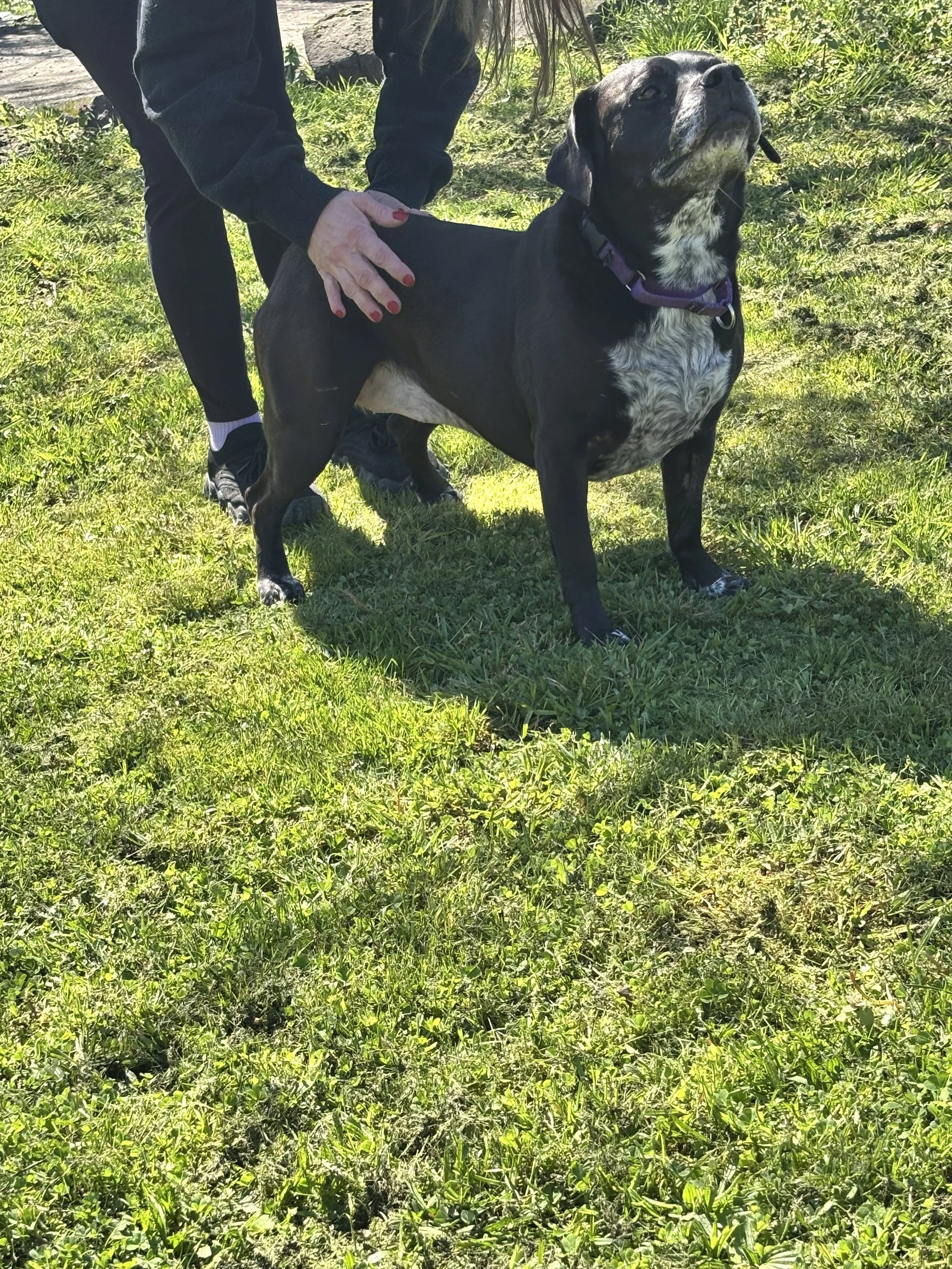 Lucy is a big part of our family.