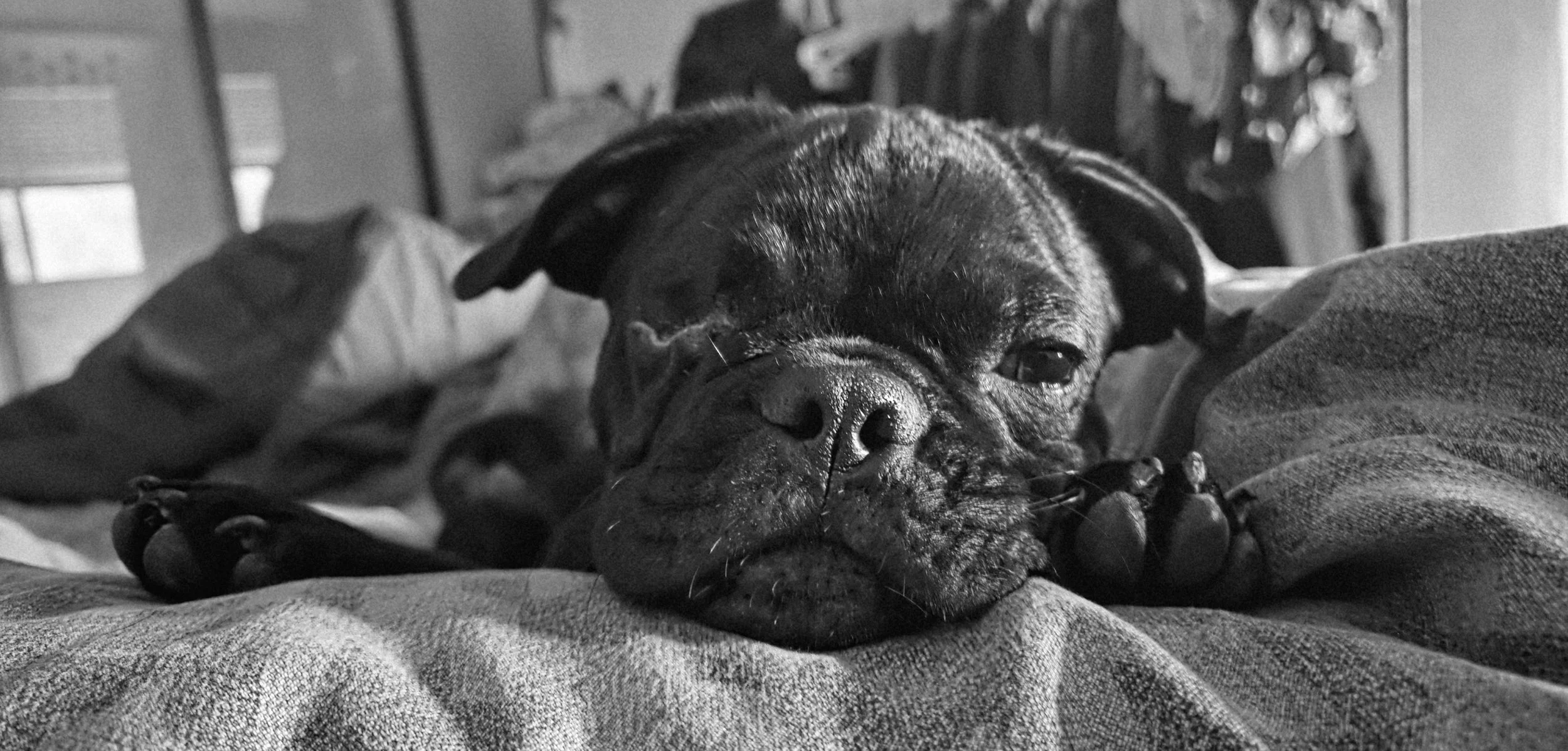 Hugo is the baby of our family, and we love him more than anything.