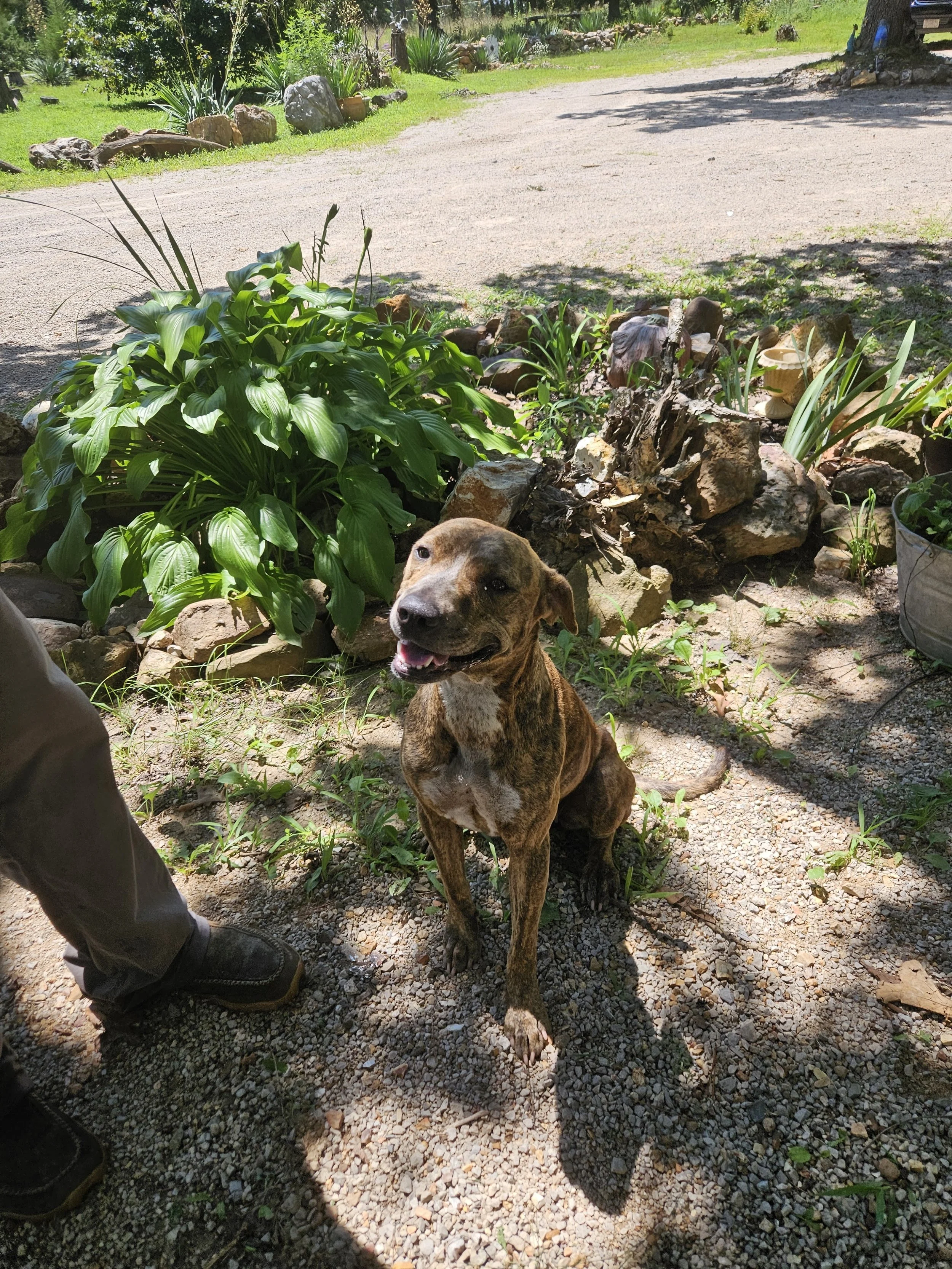 Thank you all so much for helping us with Shelby.