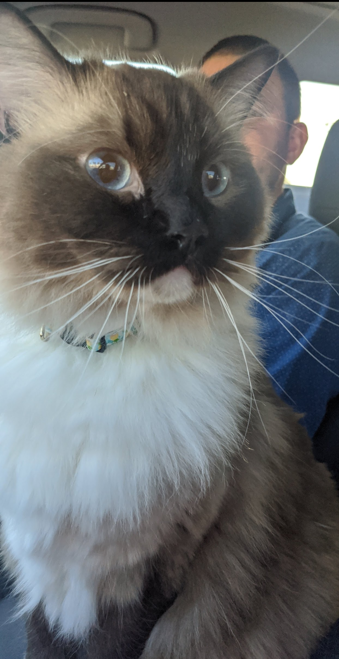 Thank you for helping with Brad's surgery.