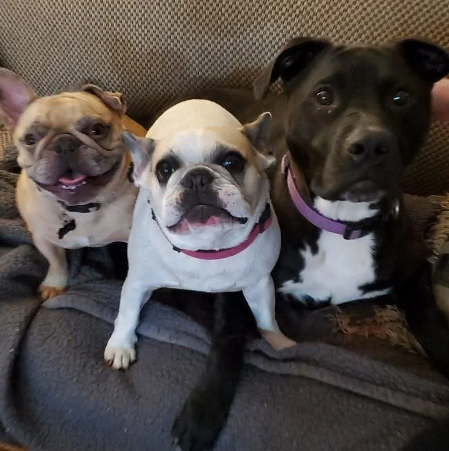 The love I have for Fiona and my other 2 fur babies is like no other .