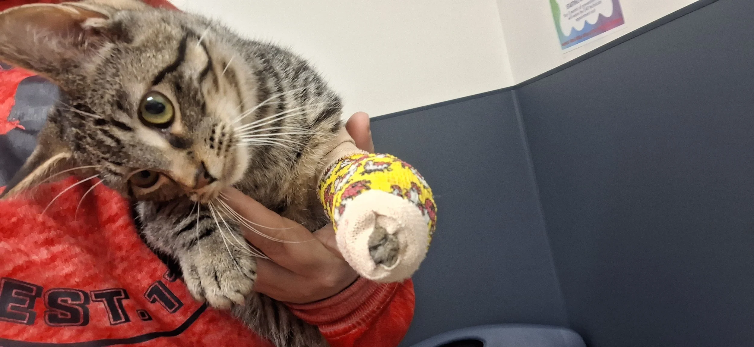 Thank you so much for helping w the cost of Cahoons surgery.