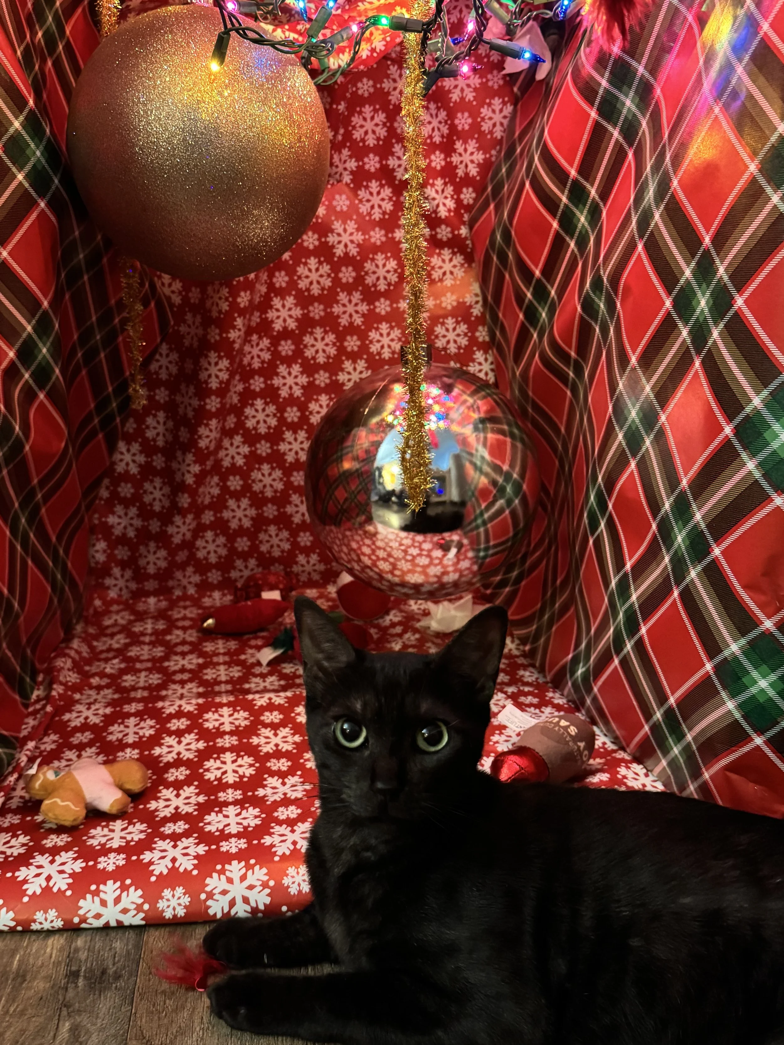 Sabel and I are grateful for your help.