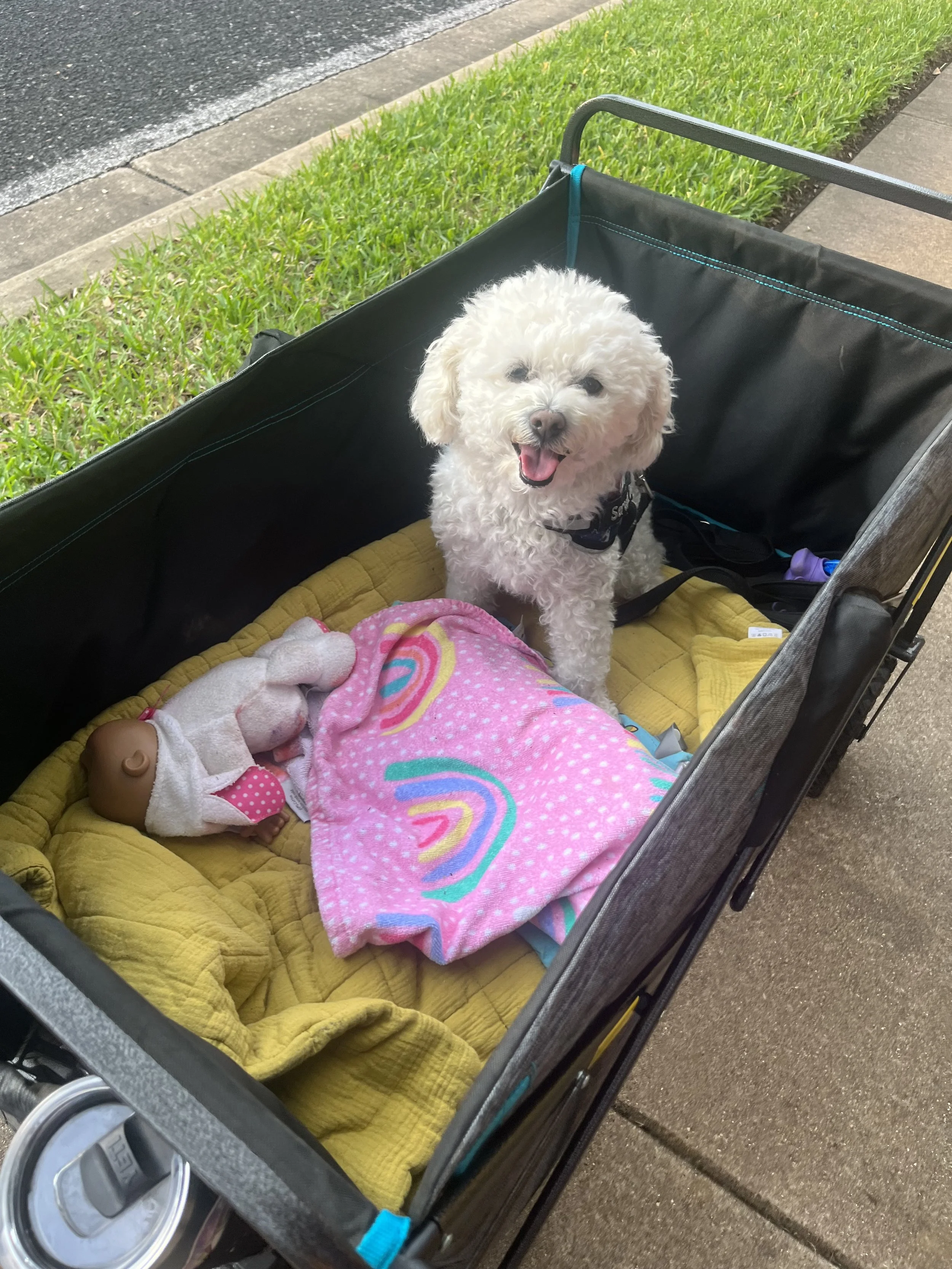 Thank you for helping Prudence.