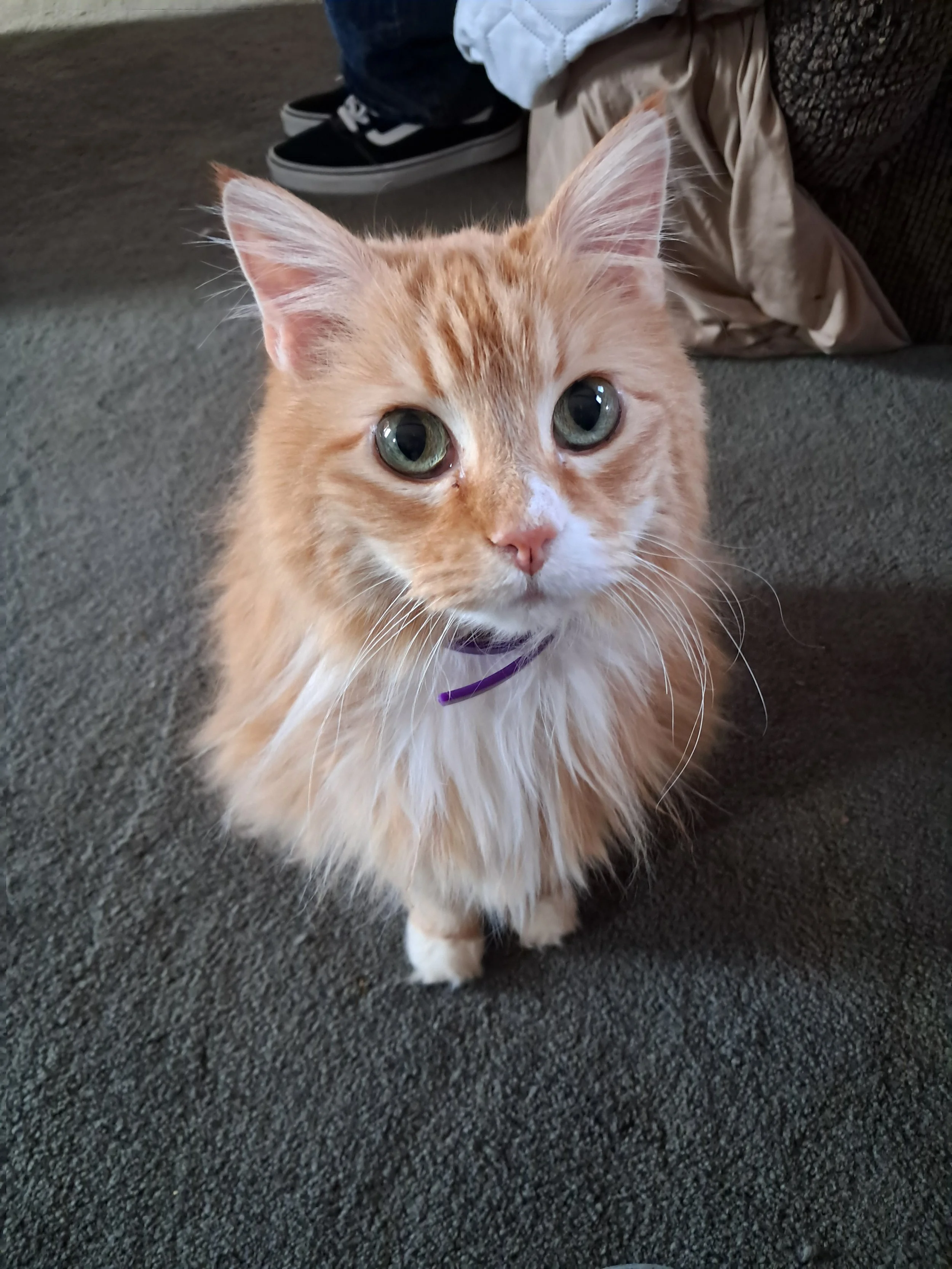 I want to thank everyone who helped my family by donating to Roxy's surgery