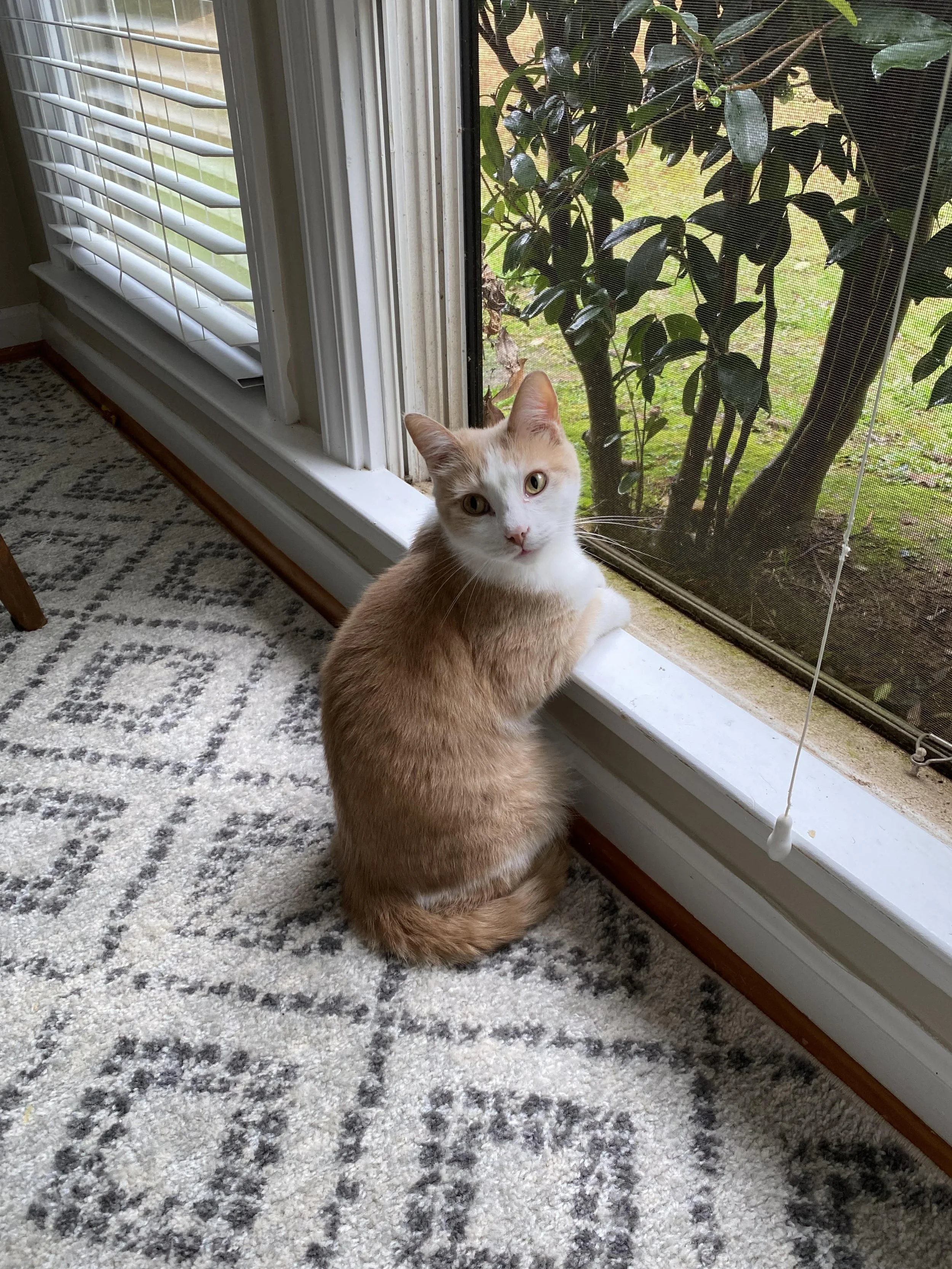 Thank you for helping Morty.