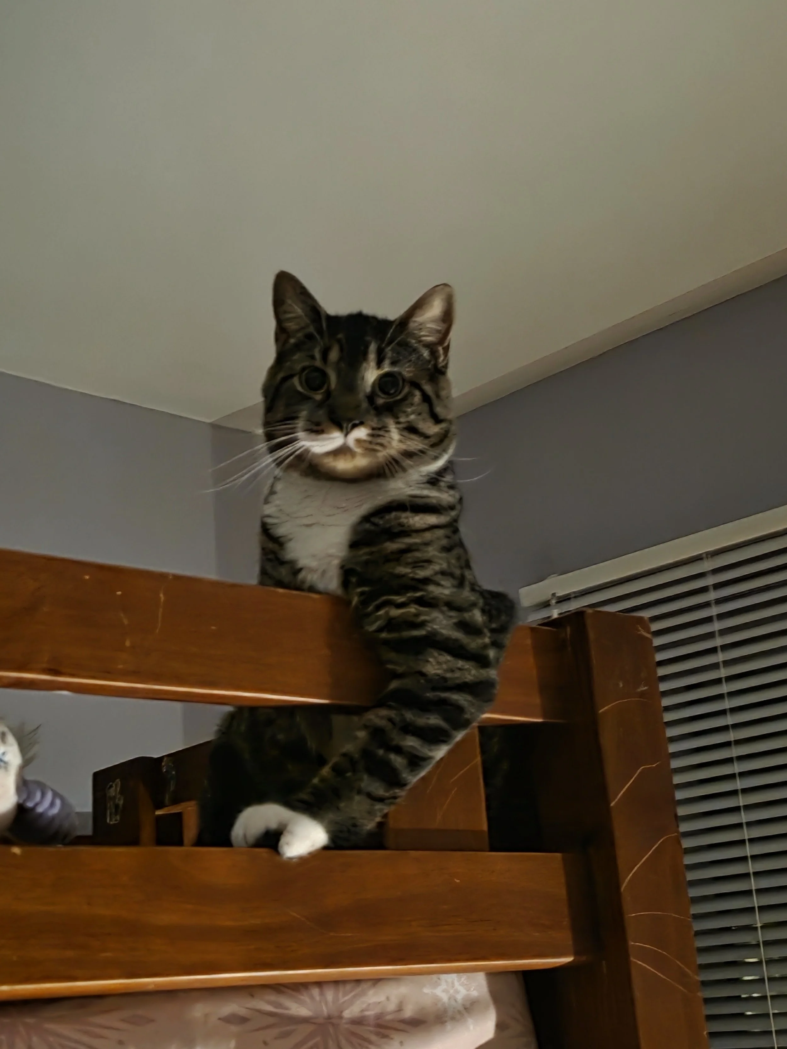 Thank you for helping Caz.