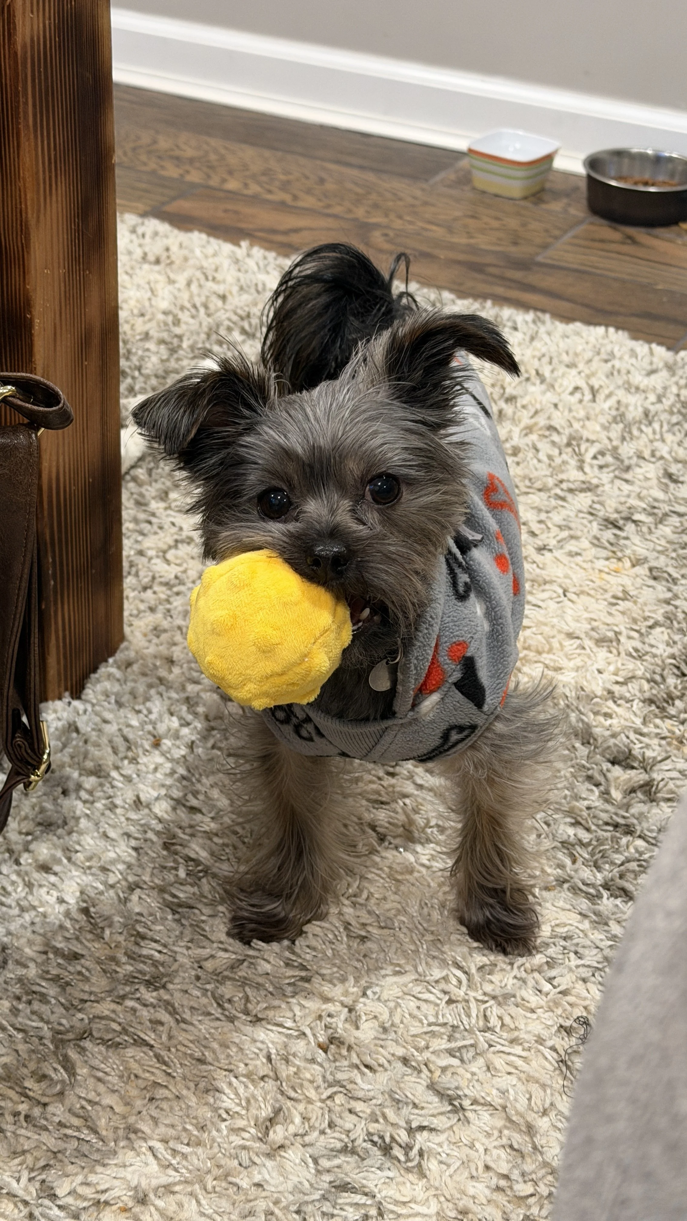 Thank you for helping Marlow!