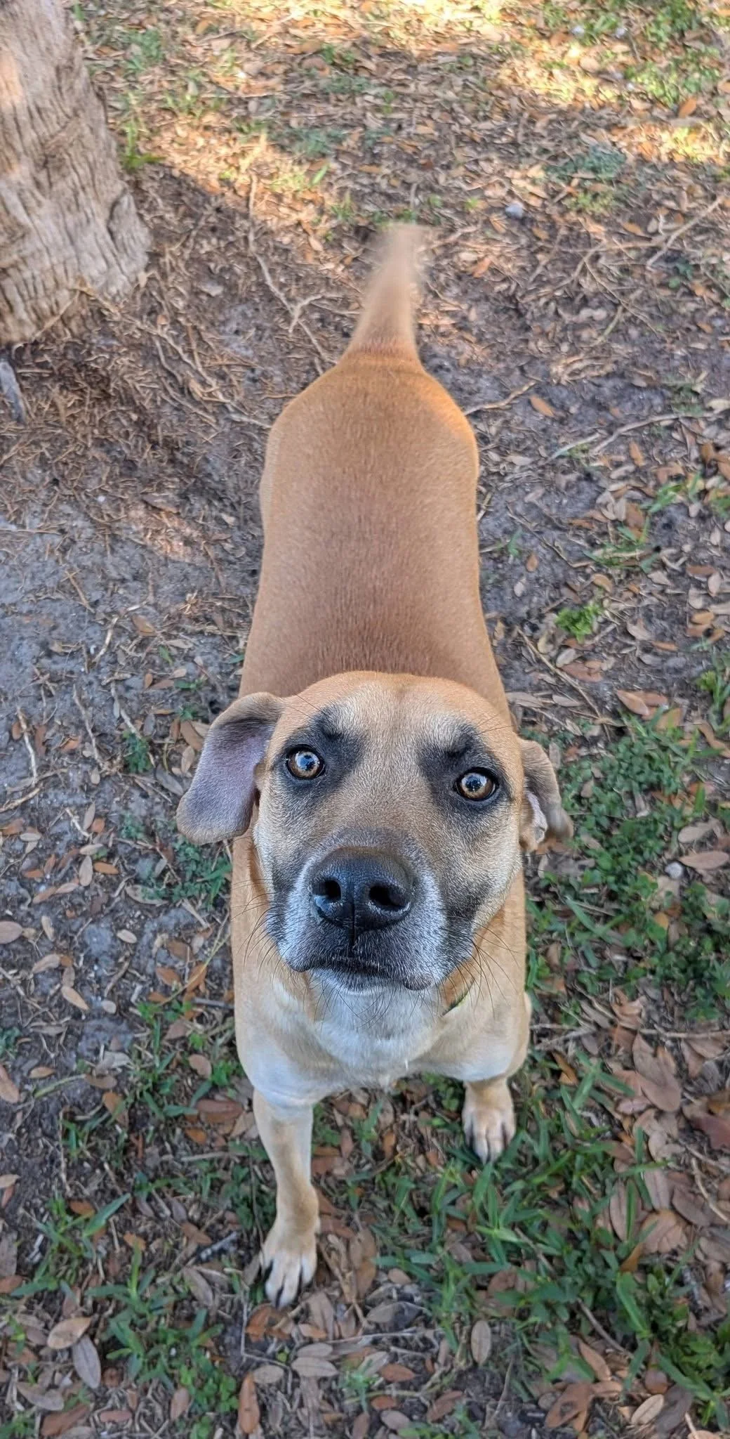 Frankie’s Friends’ support would mean everything to Baylor 