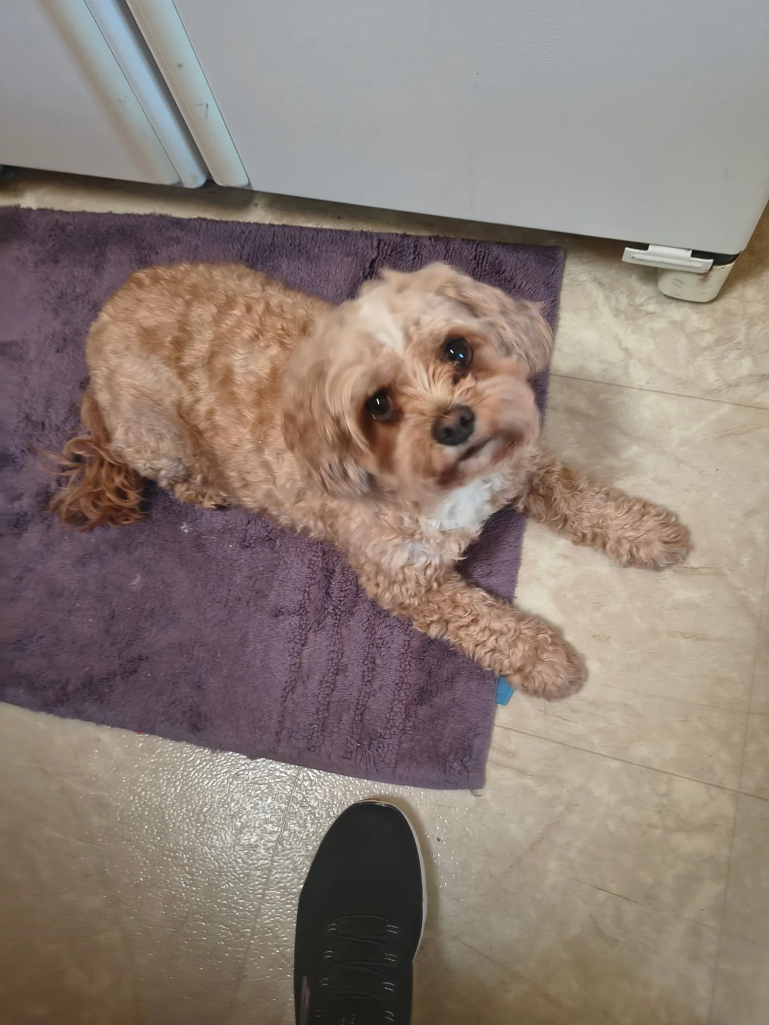 Thank you for helping Isla Mae live pain free.