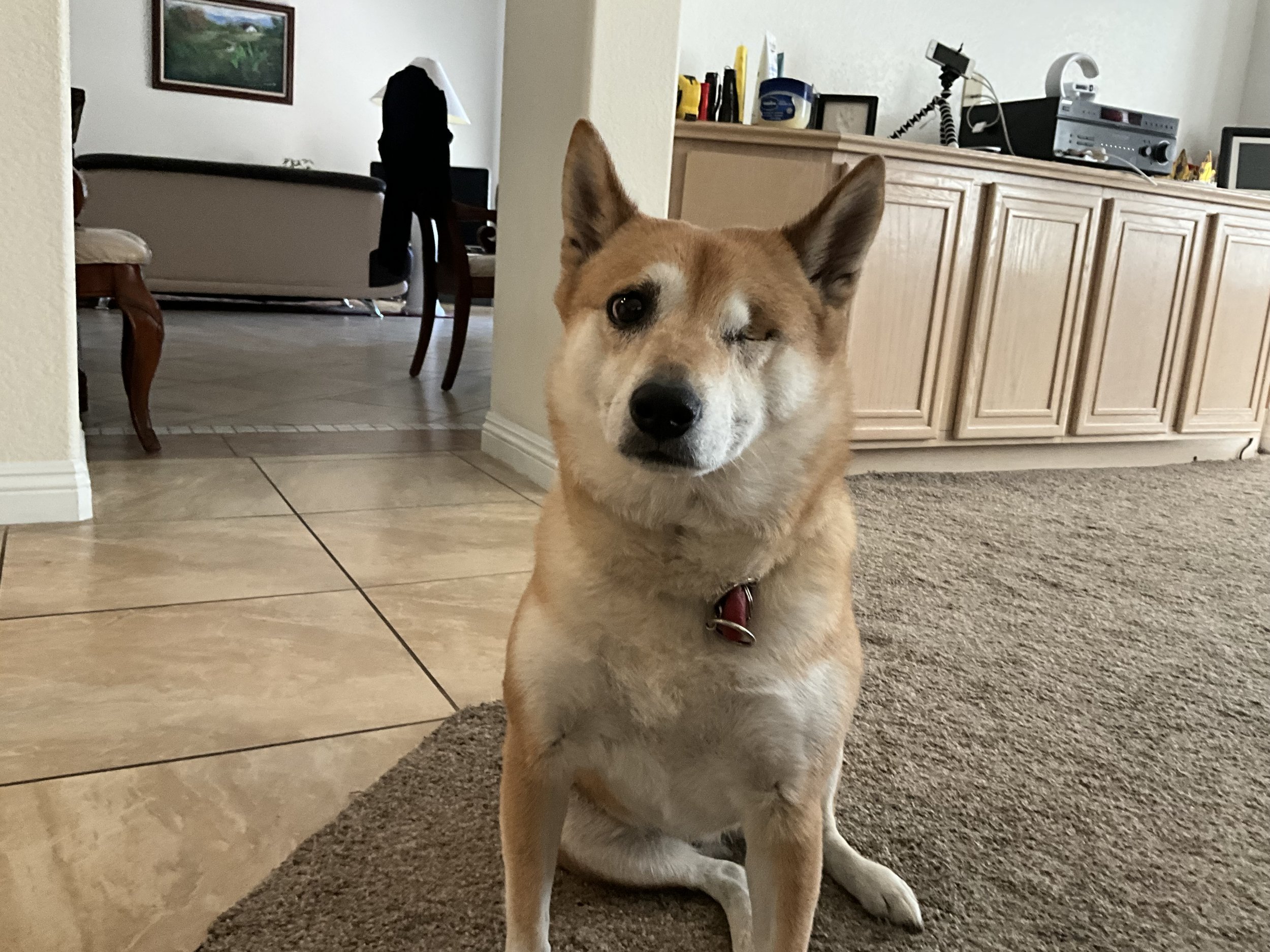 Thank you for helping Sophie get her eye surgery!